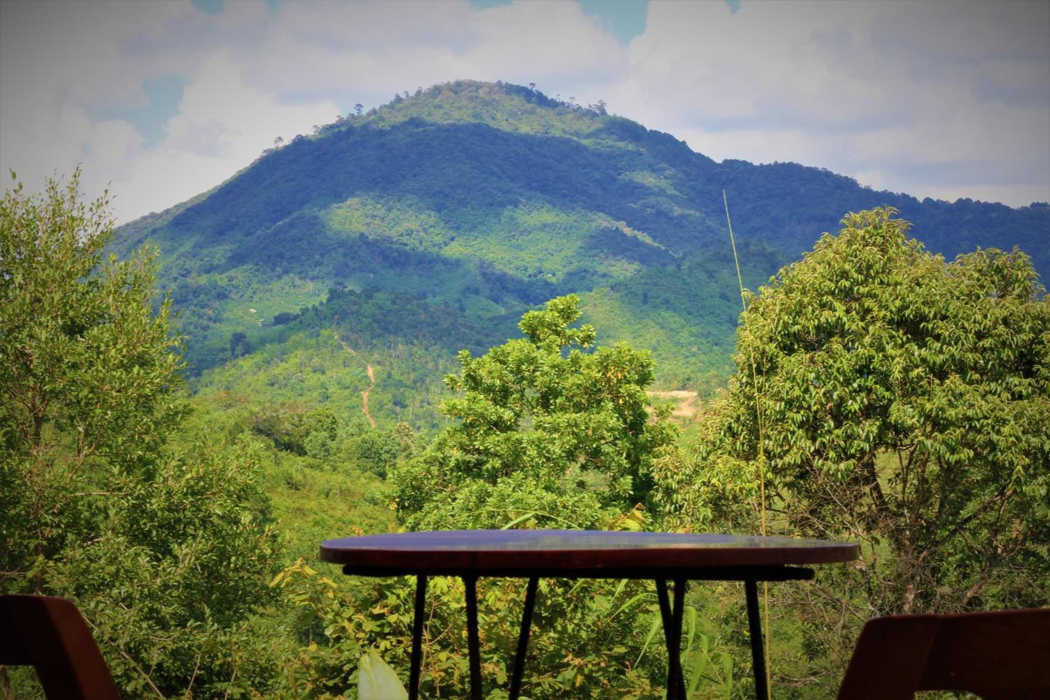 Zen Cafe Countryside Retreat photo 7