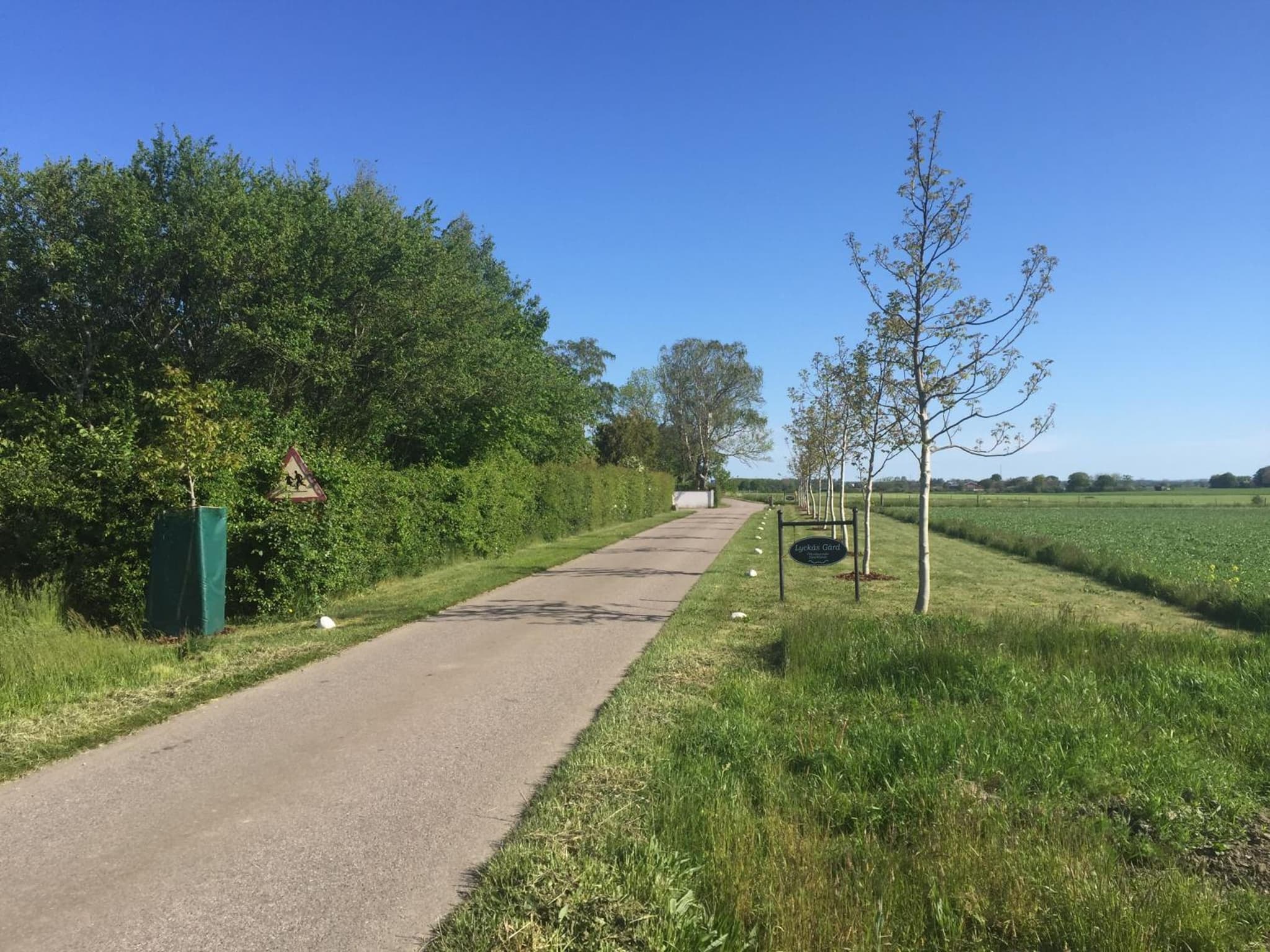 Lyckås Gårds Gästboende photo 2
