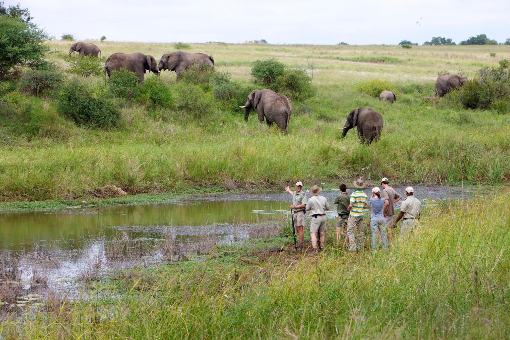 Kapama Southern Camp photo 6