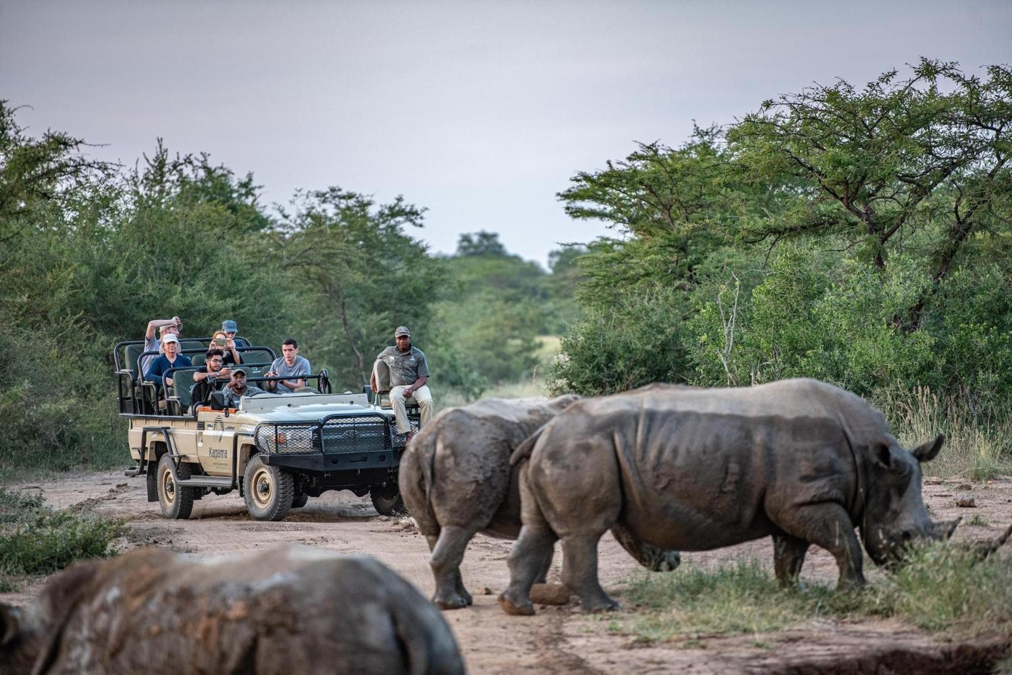 Kapama Southern Camp photo 7