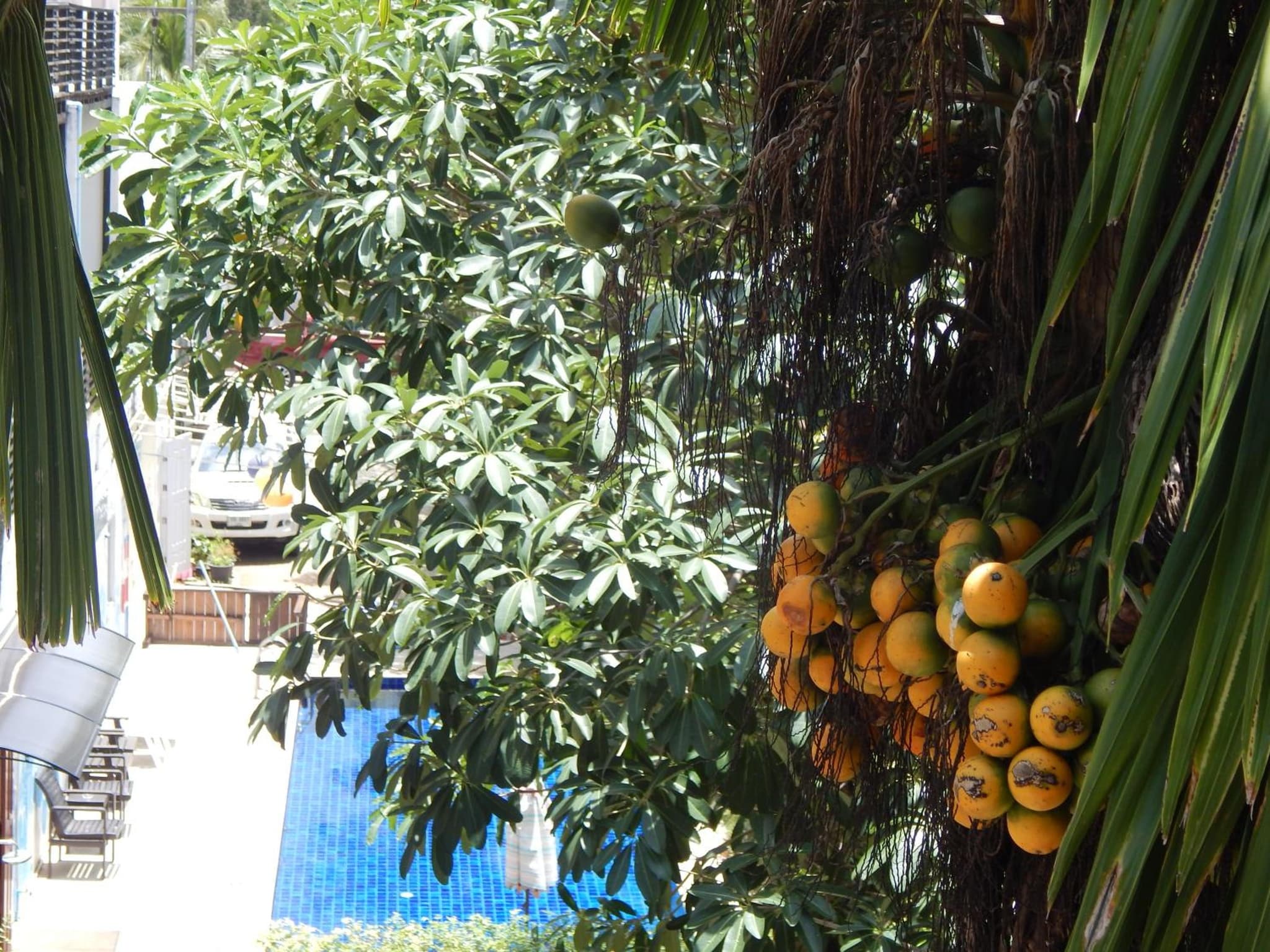 Jinta Andaman photo 5