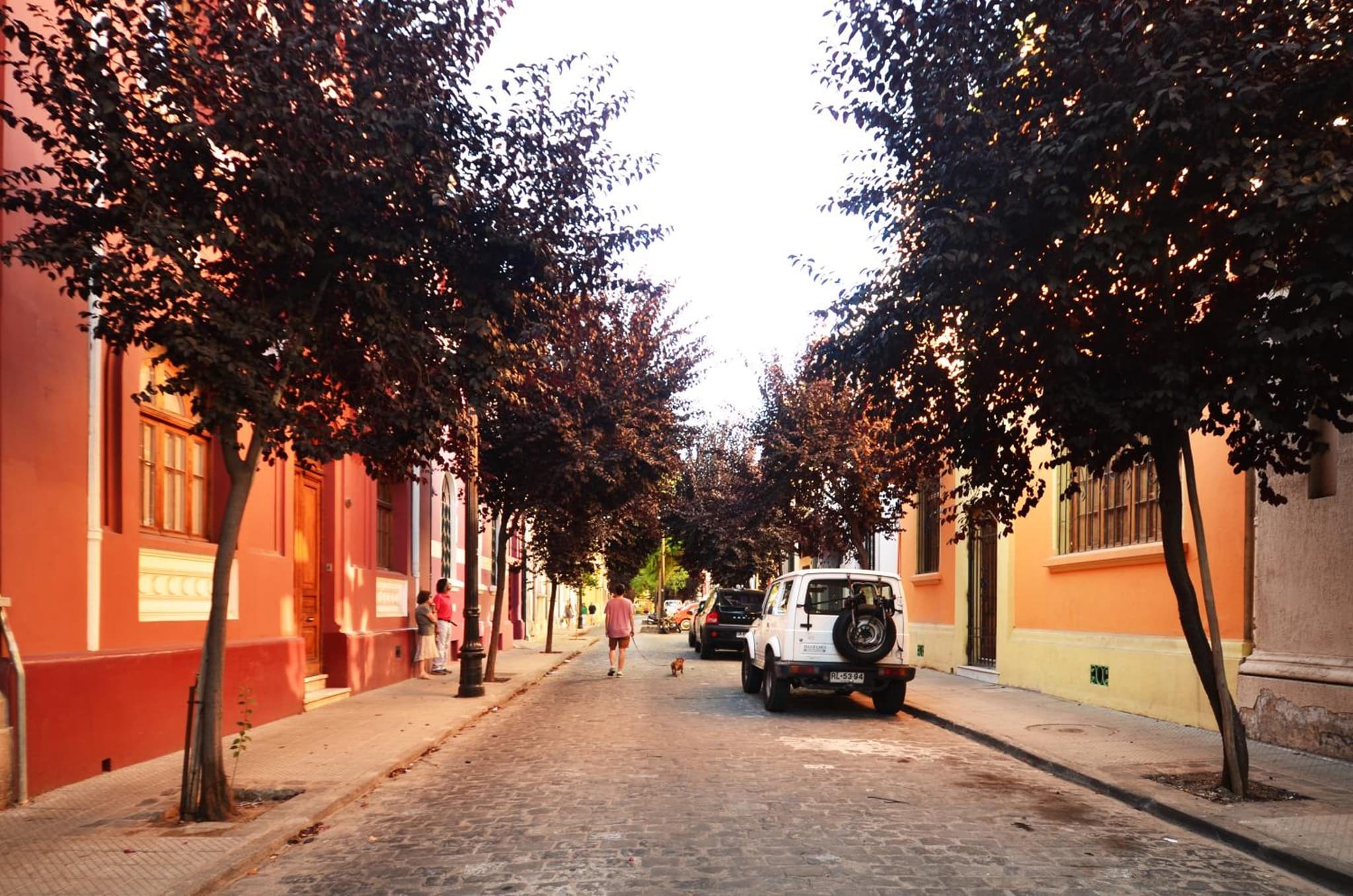 CASA LUCRECIA photo 8