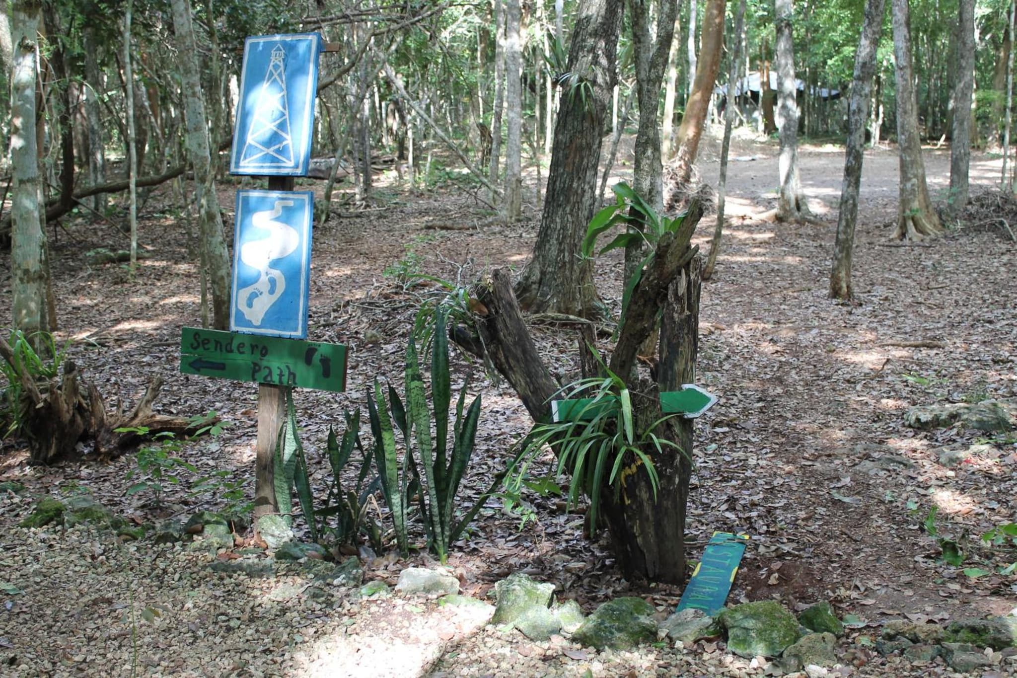 Campamento Yaax Che en Calakmul photo 7