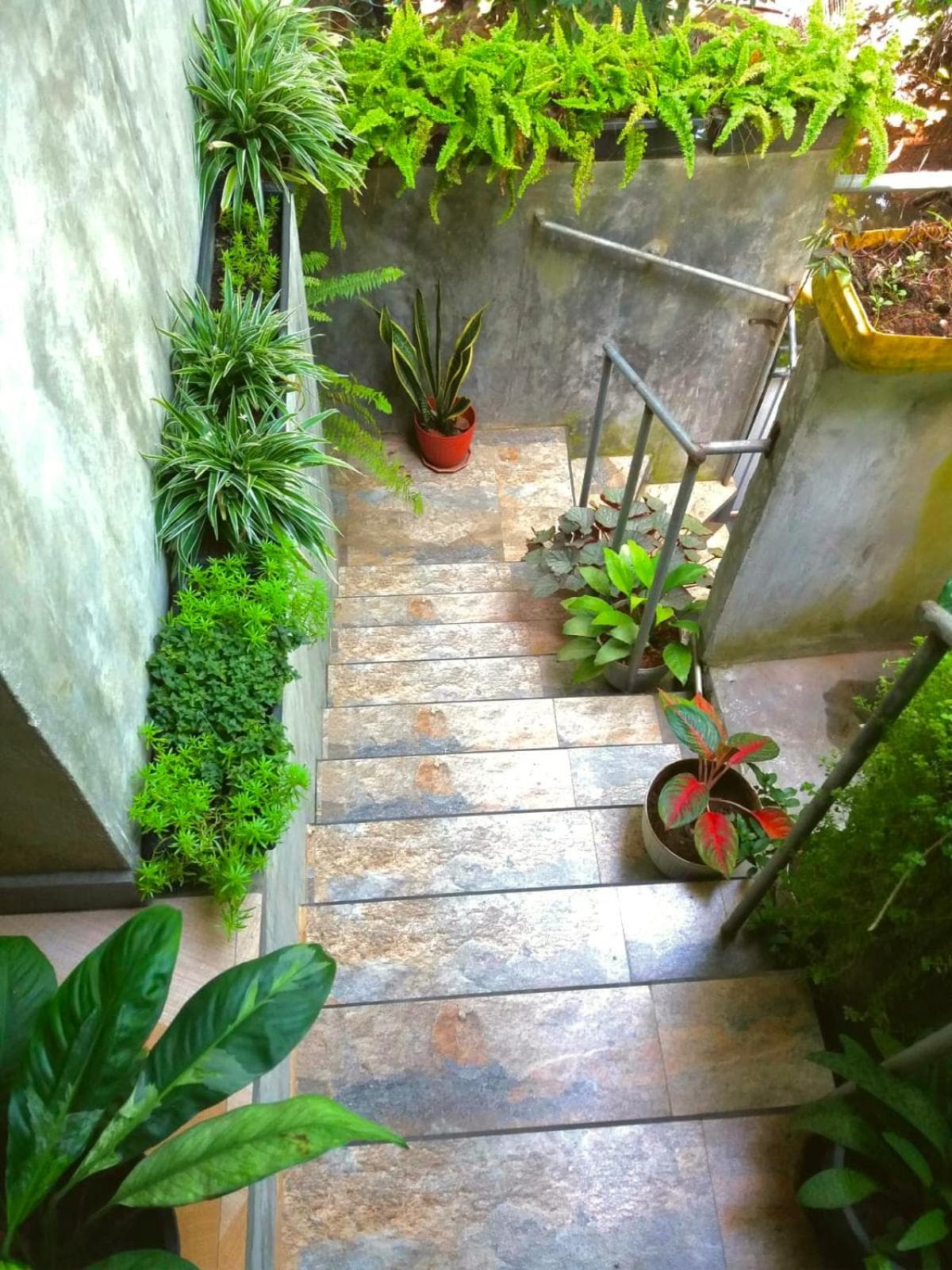 Art House photo 5