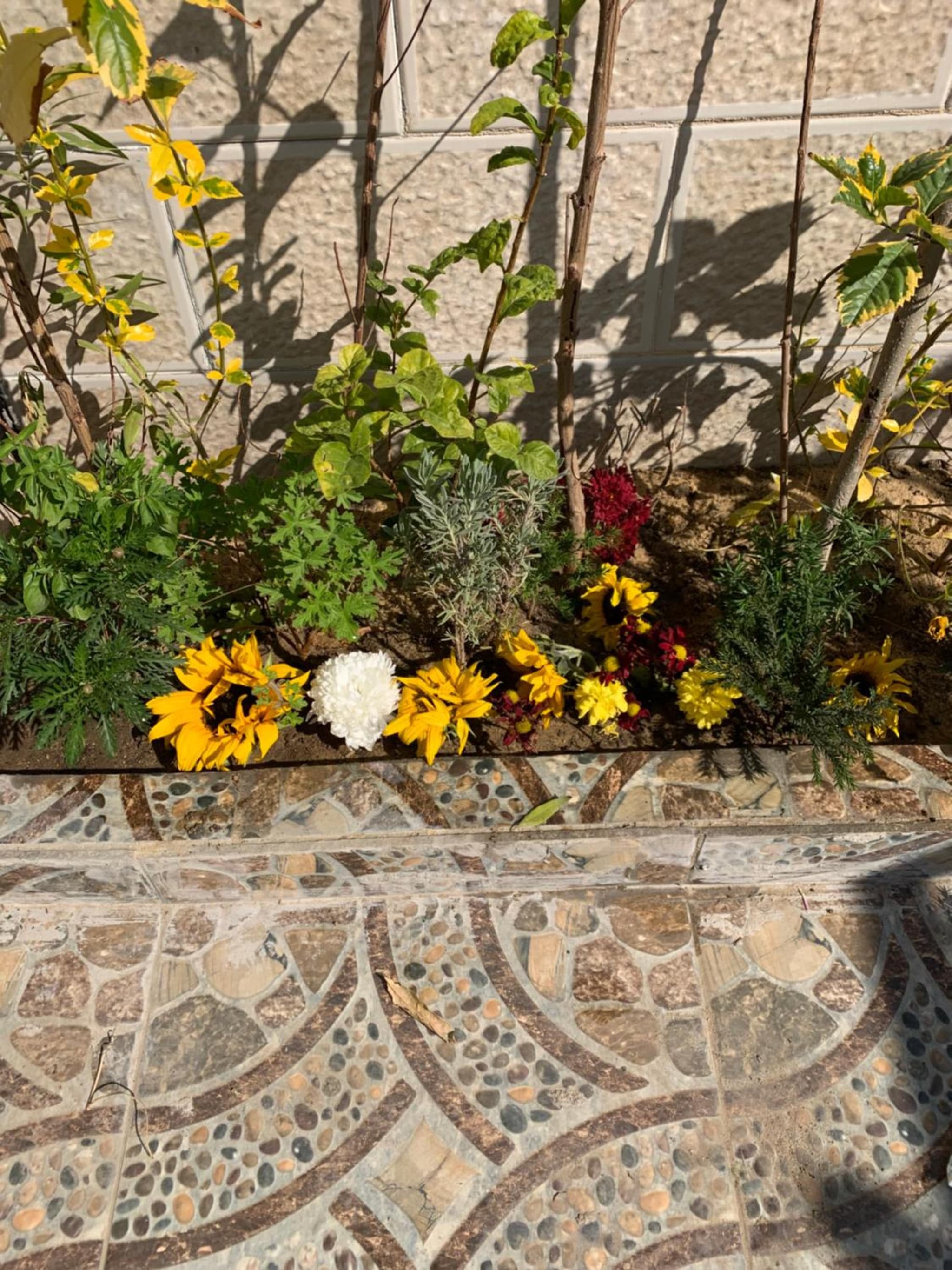 48 Gardenia city photo 3