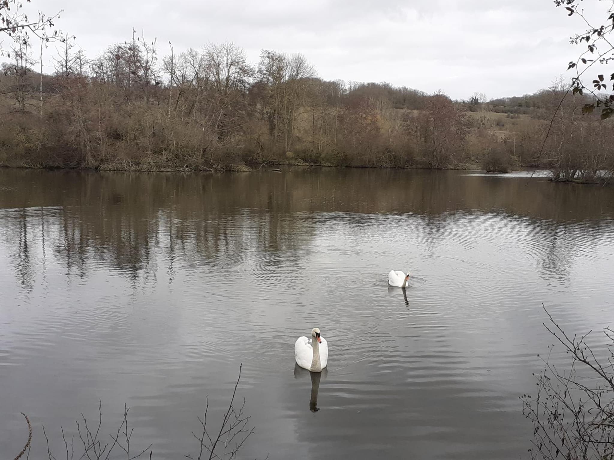 Au Bord de L'Eau photo 3