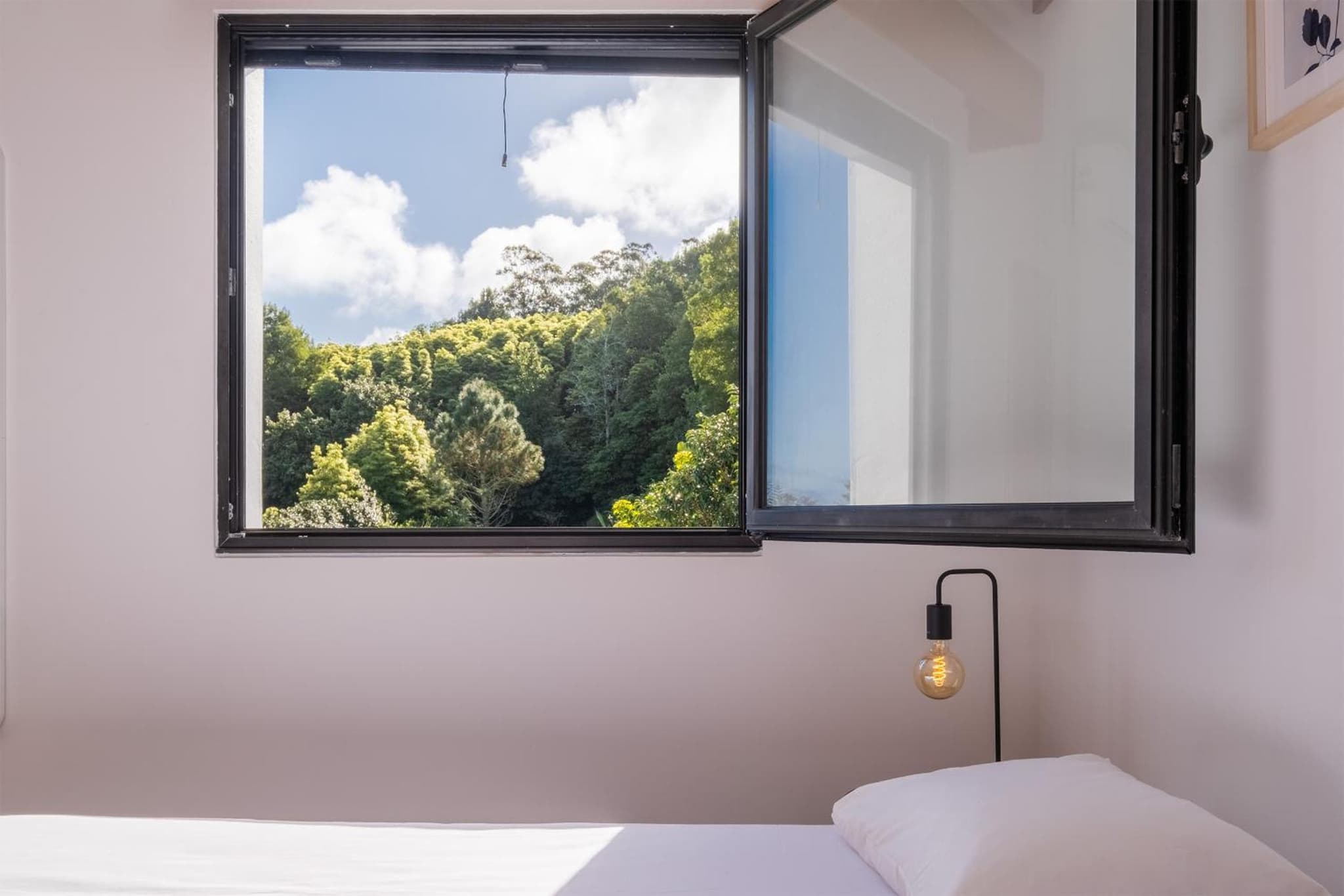 Azores Green Woods Villa photo 9