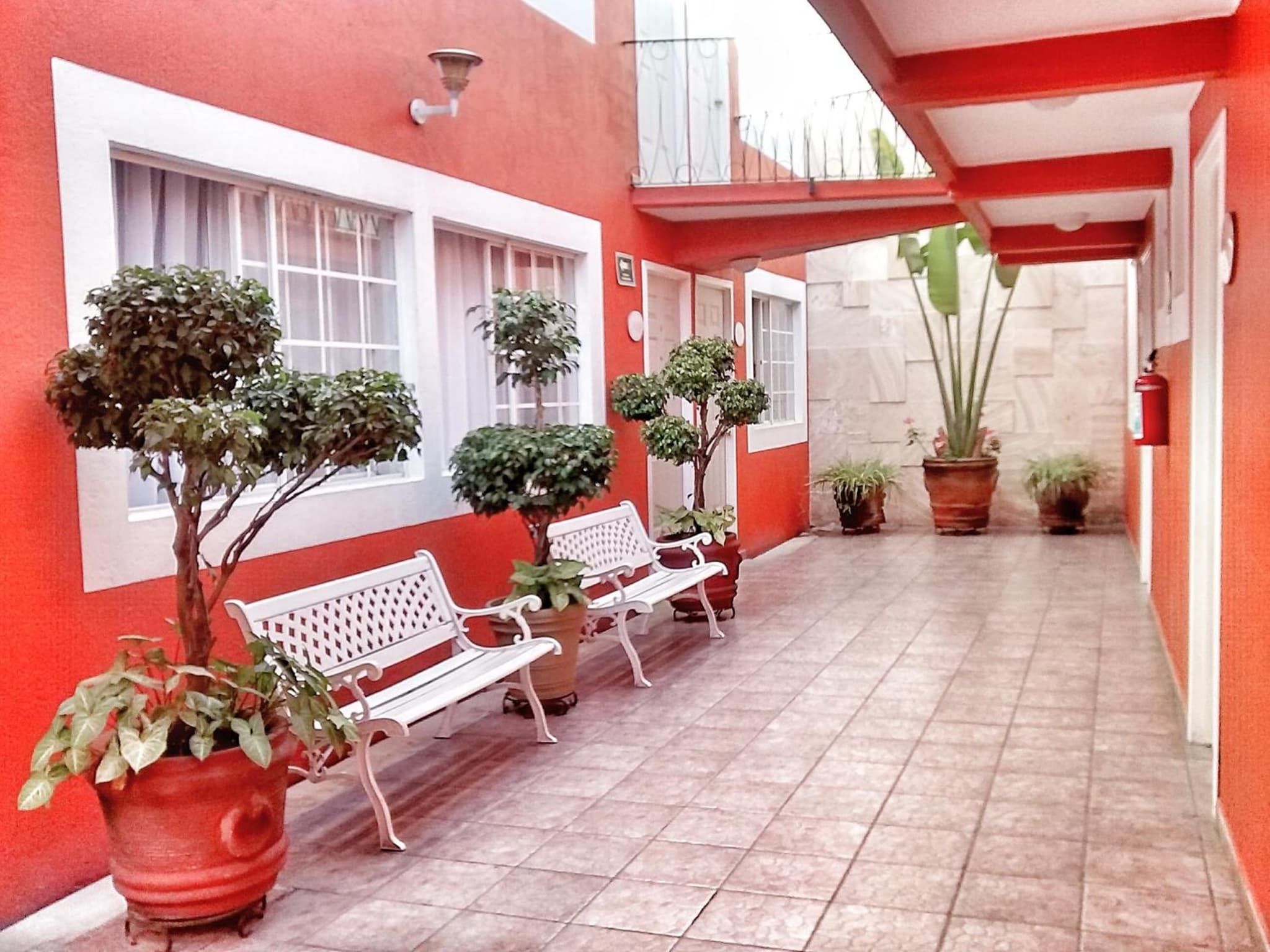 Hotel Camba photo 6