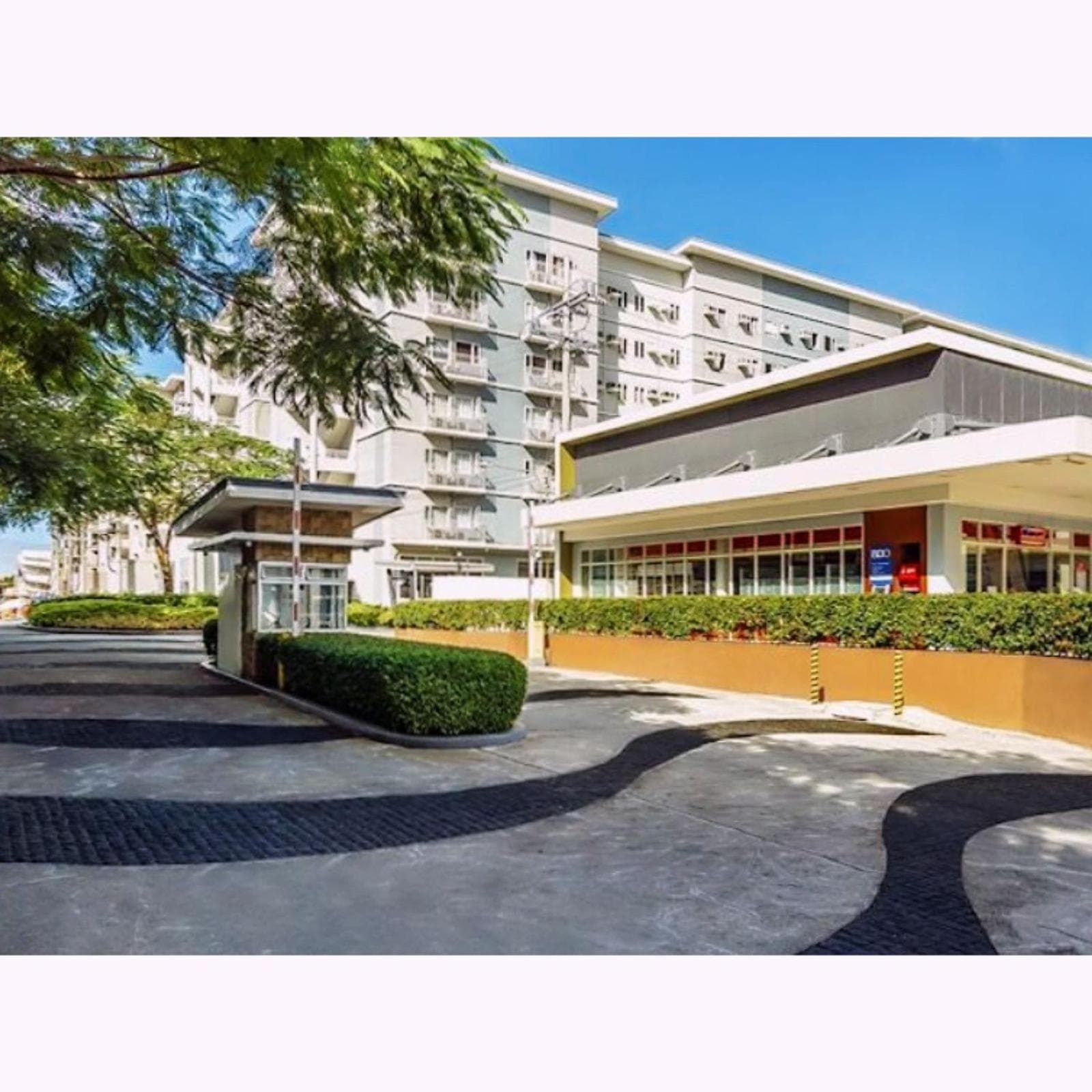 Euphoria Staycation at SMDC Trees Residences