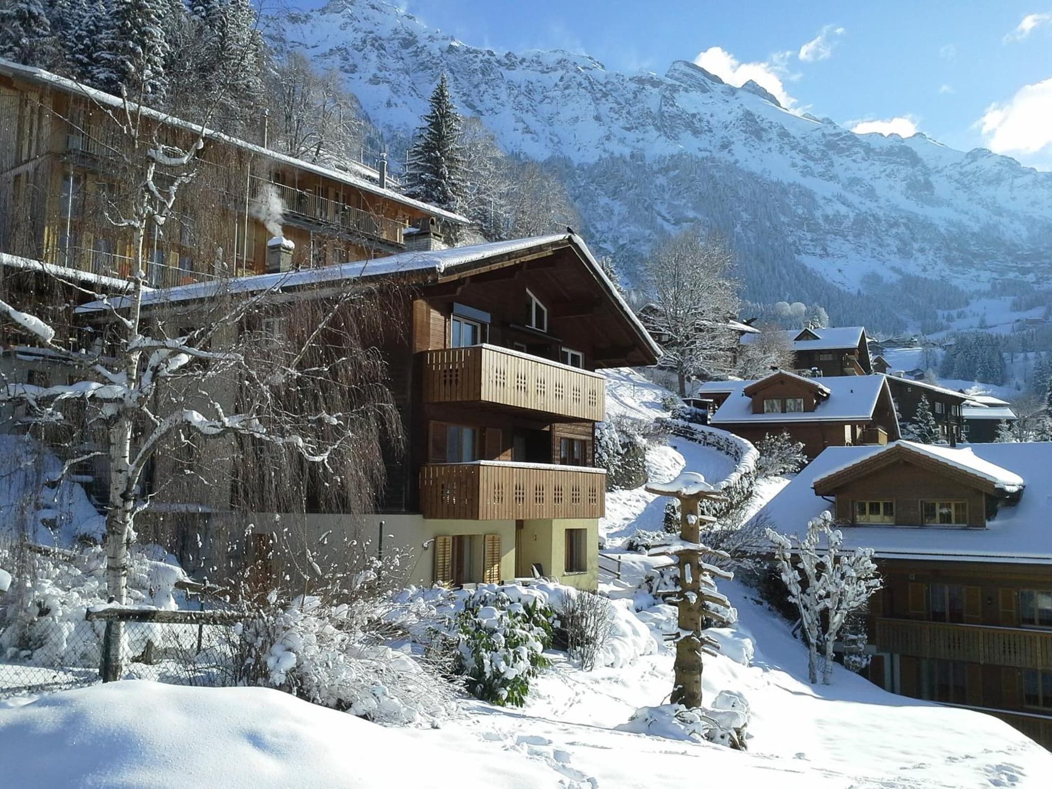 Chalet Gerbera photo 9