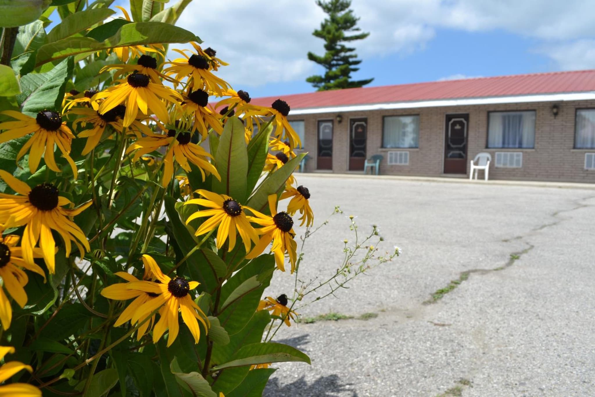 Lighthouse Motel photo 6