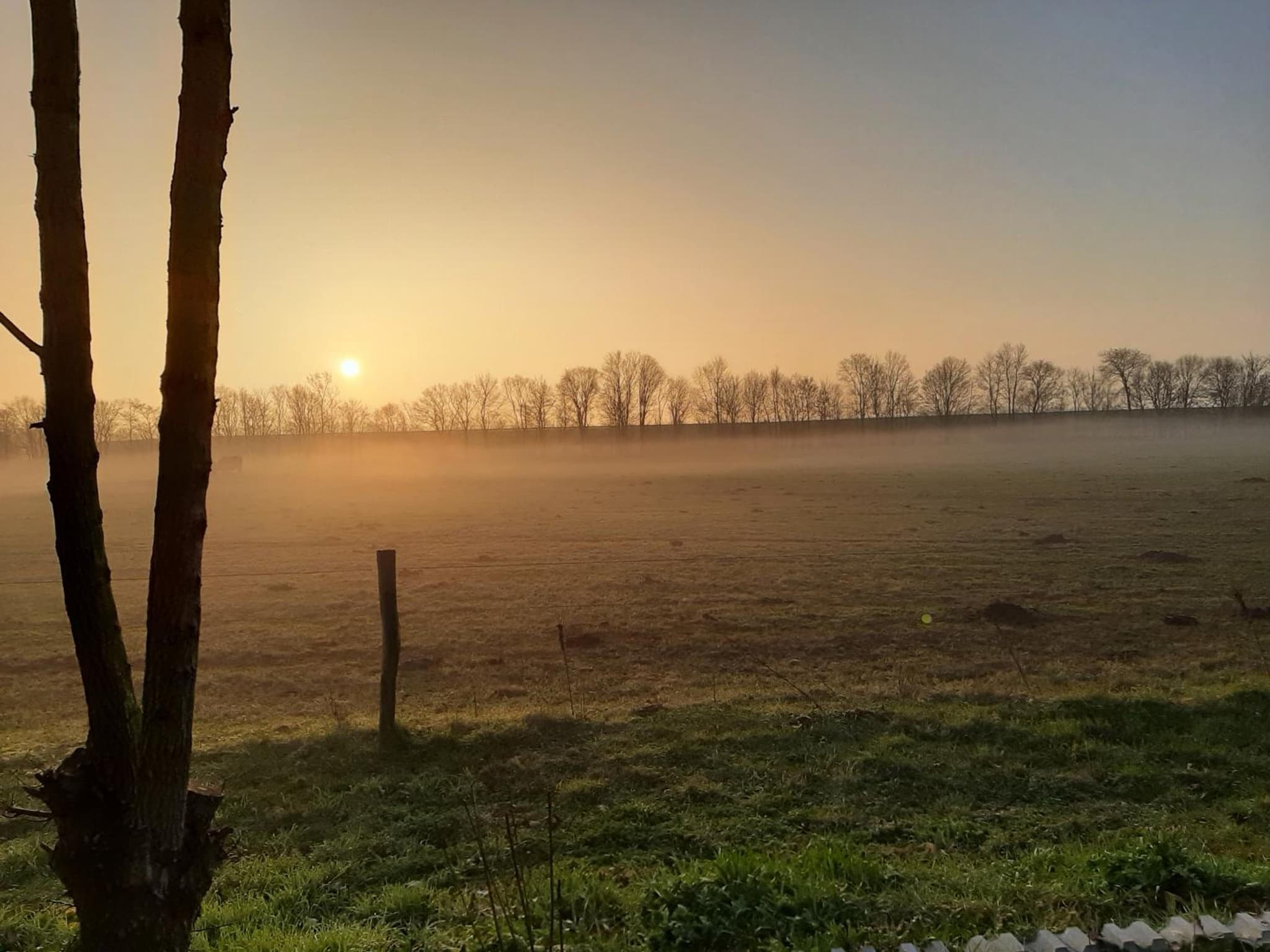 BIESBOSCHBEST photo 3