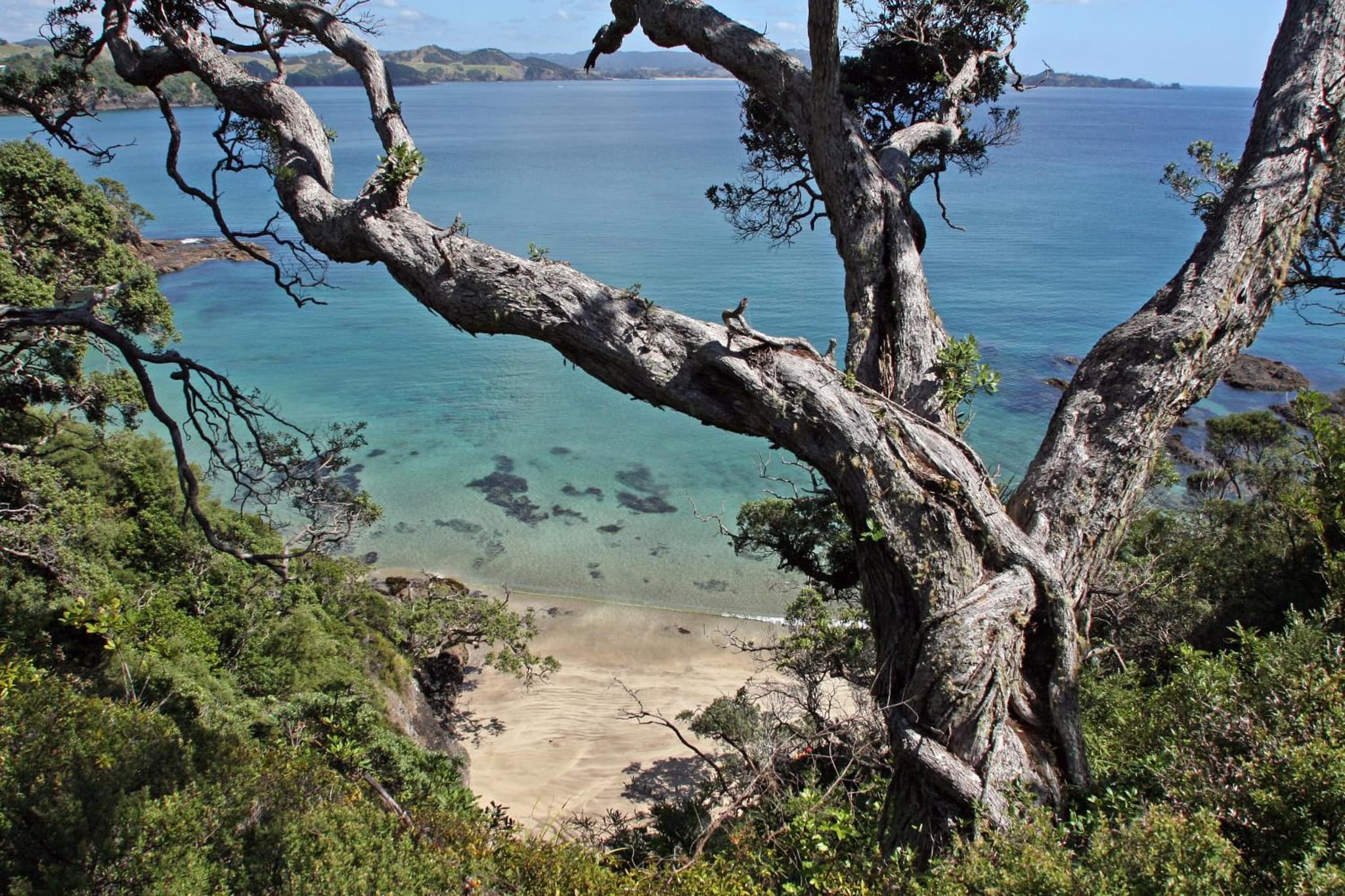 Quality Hotel Oceans Tutukaka photo 2