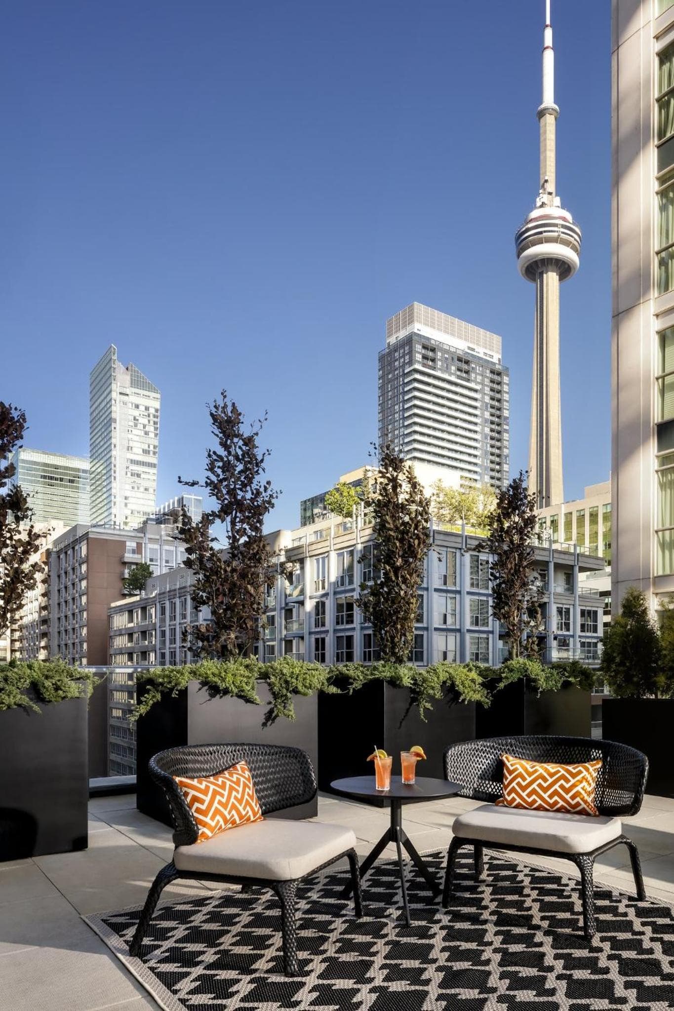 BISHA, a Luxury Collection Hotel, Toronto photo 8