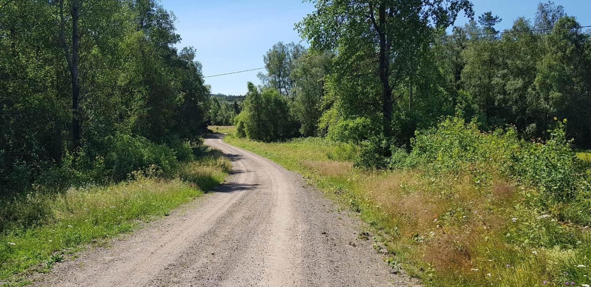 ELGGÅRDEN photo 6