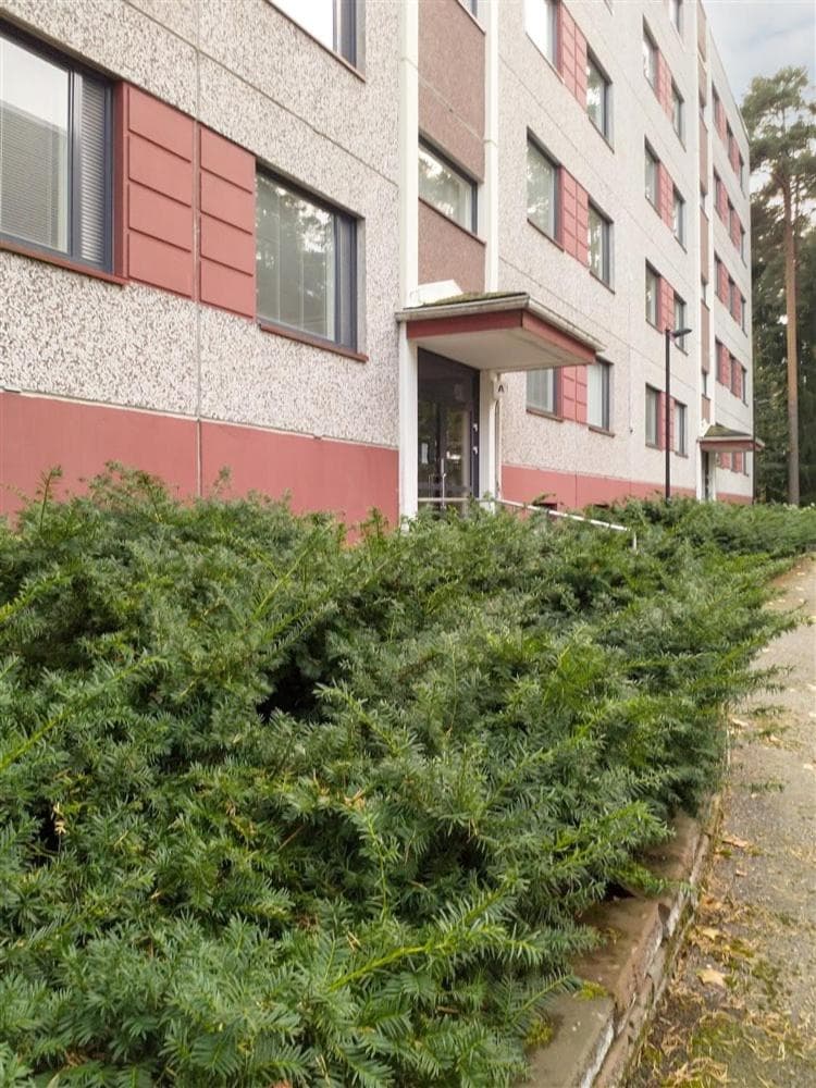 Casa Merikotilo merellisessä Meriraumassa. photo 8
