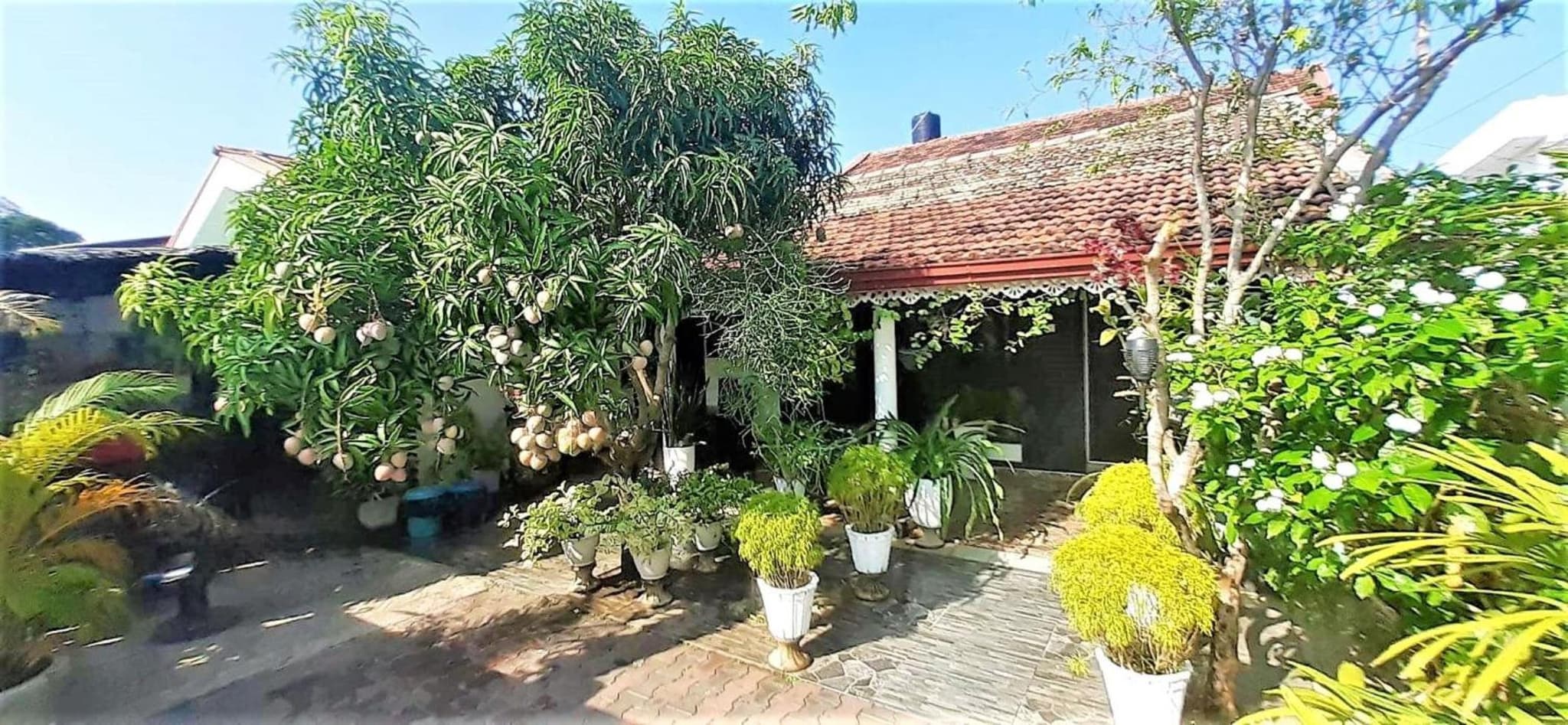 Alexandra Family Villa photo 7