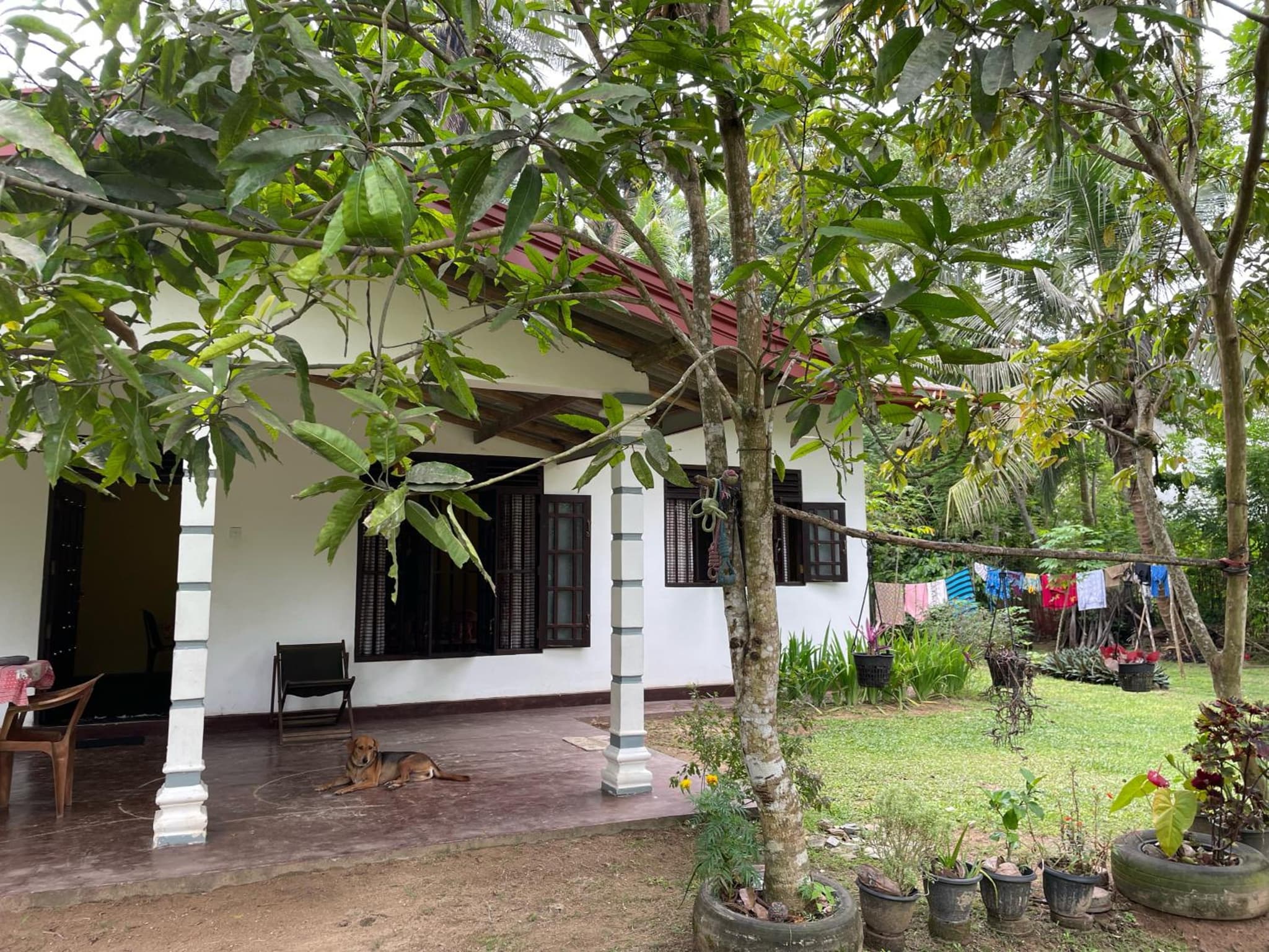 Mahiru Homestay photo 9