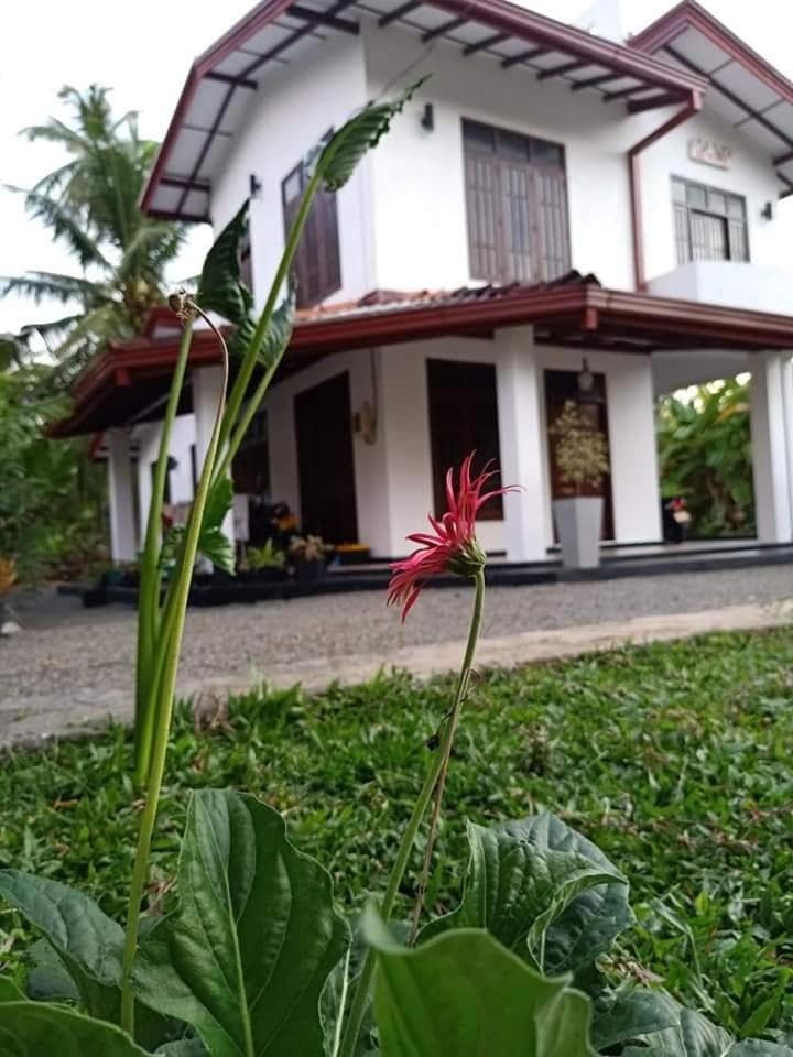 Ransavi villa