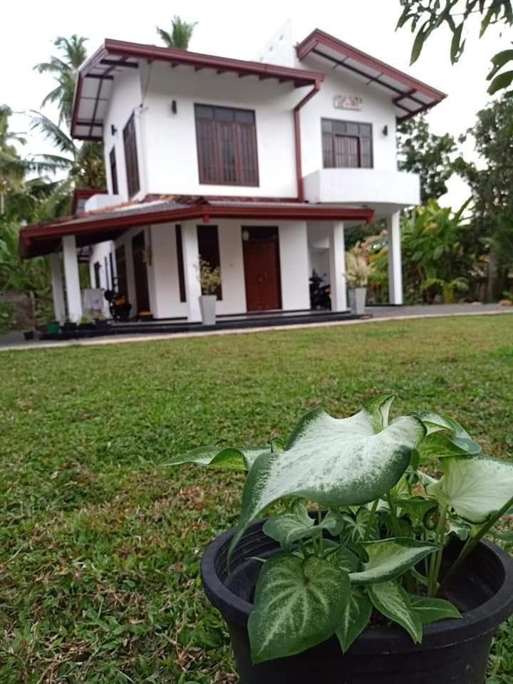 Ransavi villa photo 2
