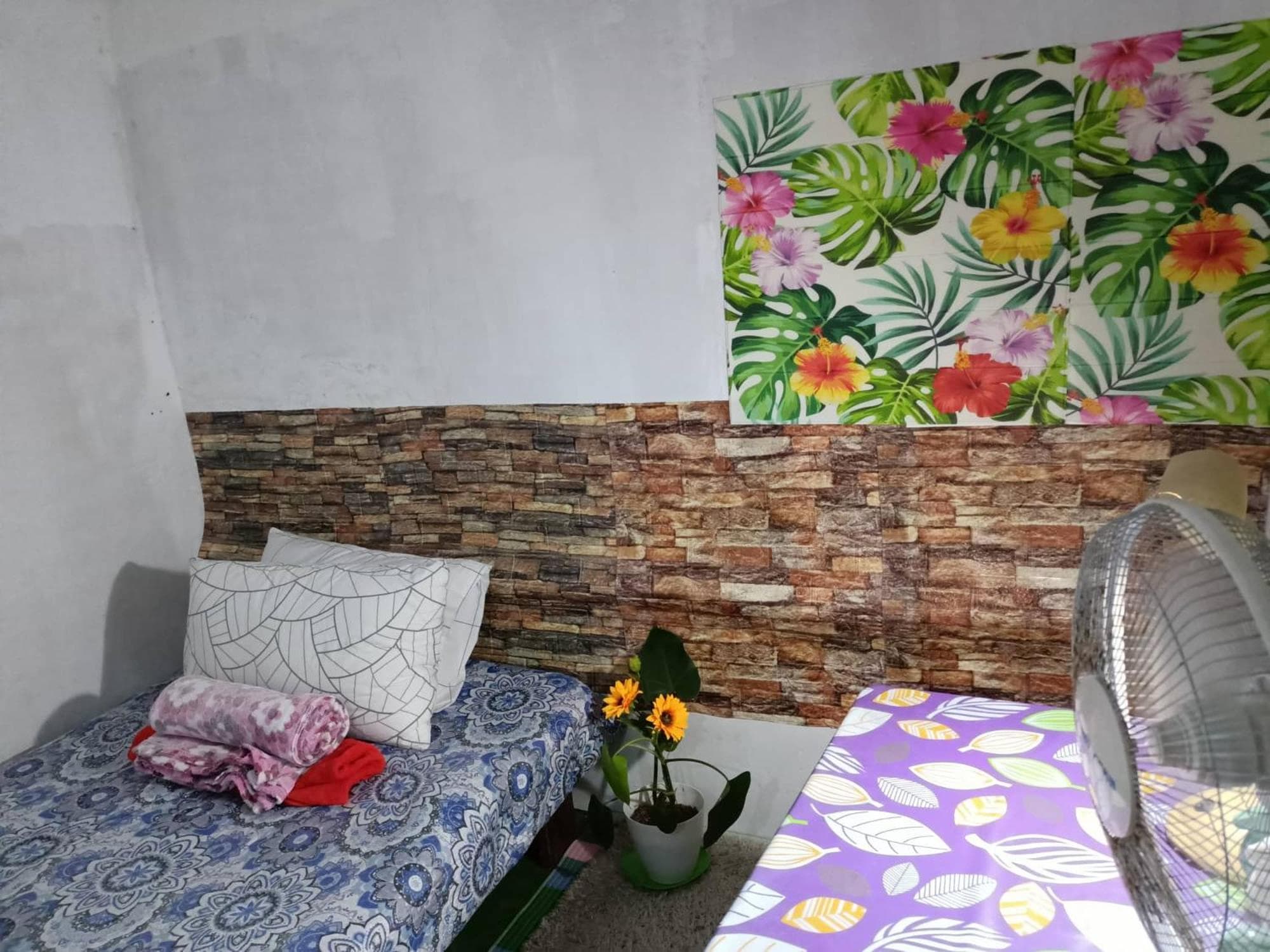 Maraño's Home photo 7