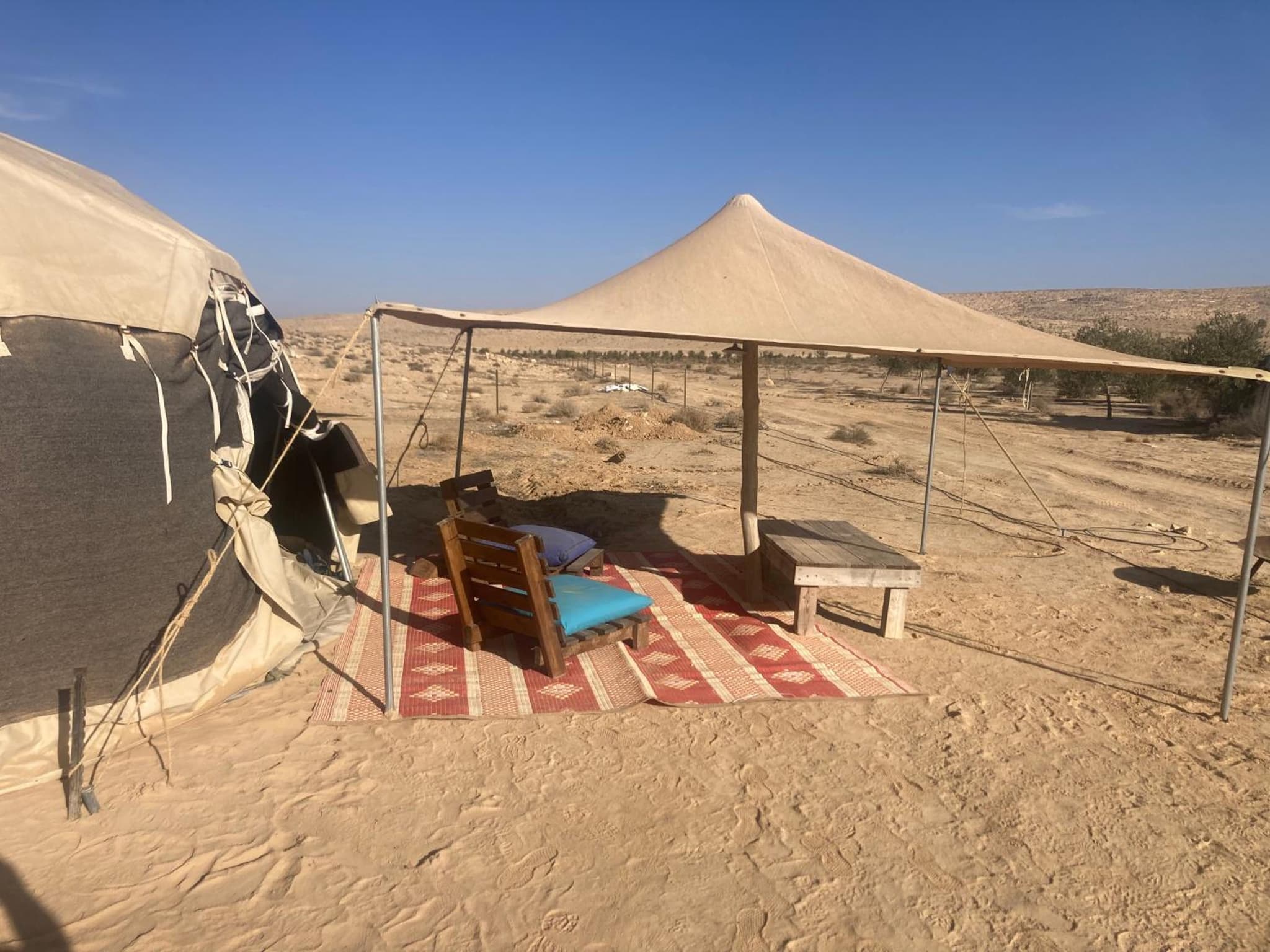 חוות ארץ פרא wild land farm photo 4