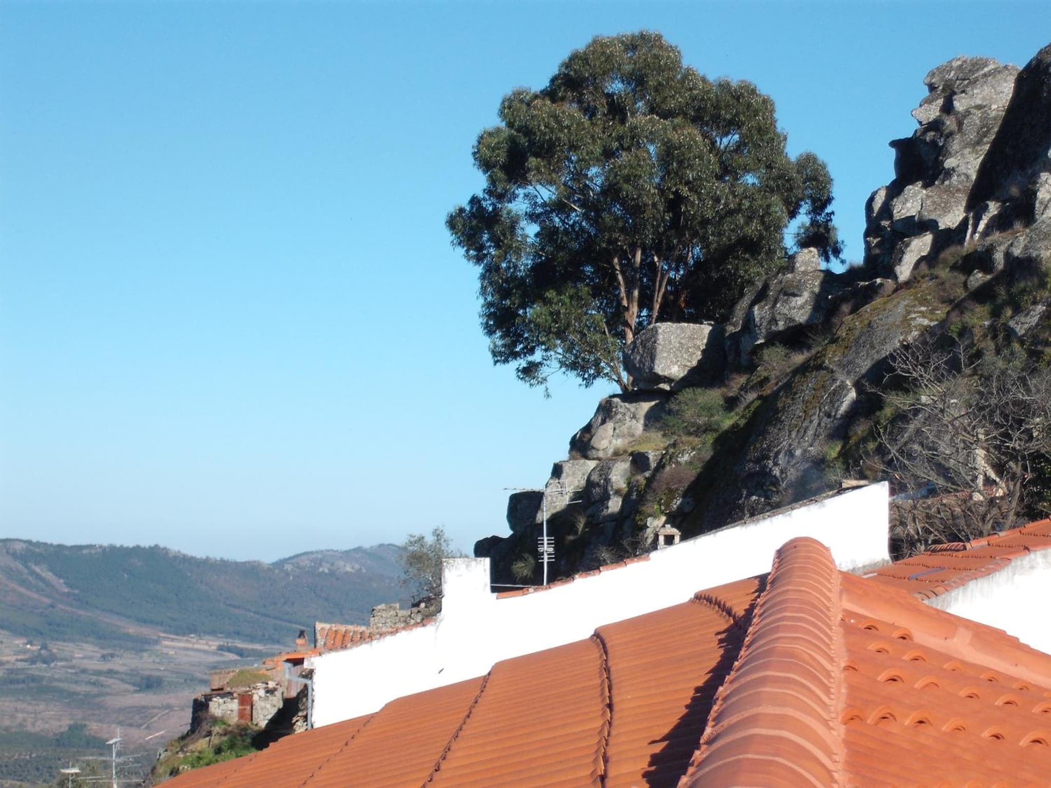 Casa Pires Mateus photo 4