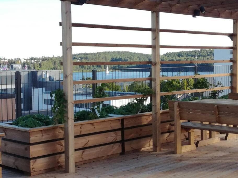 Moderni avara yksiö Jyväskylän ydinkeskustassa photo 8