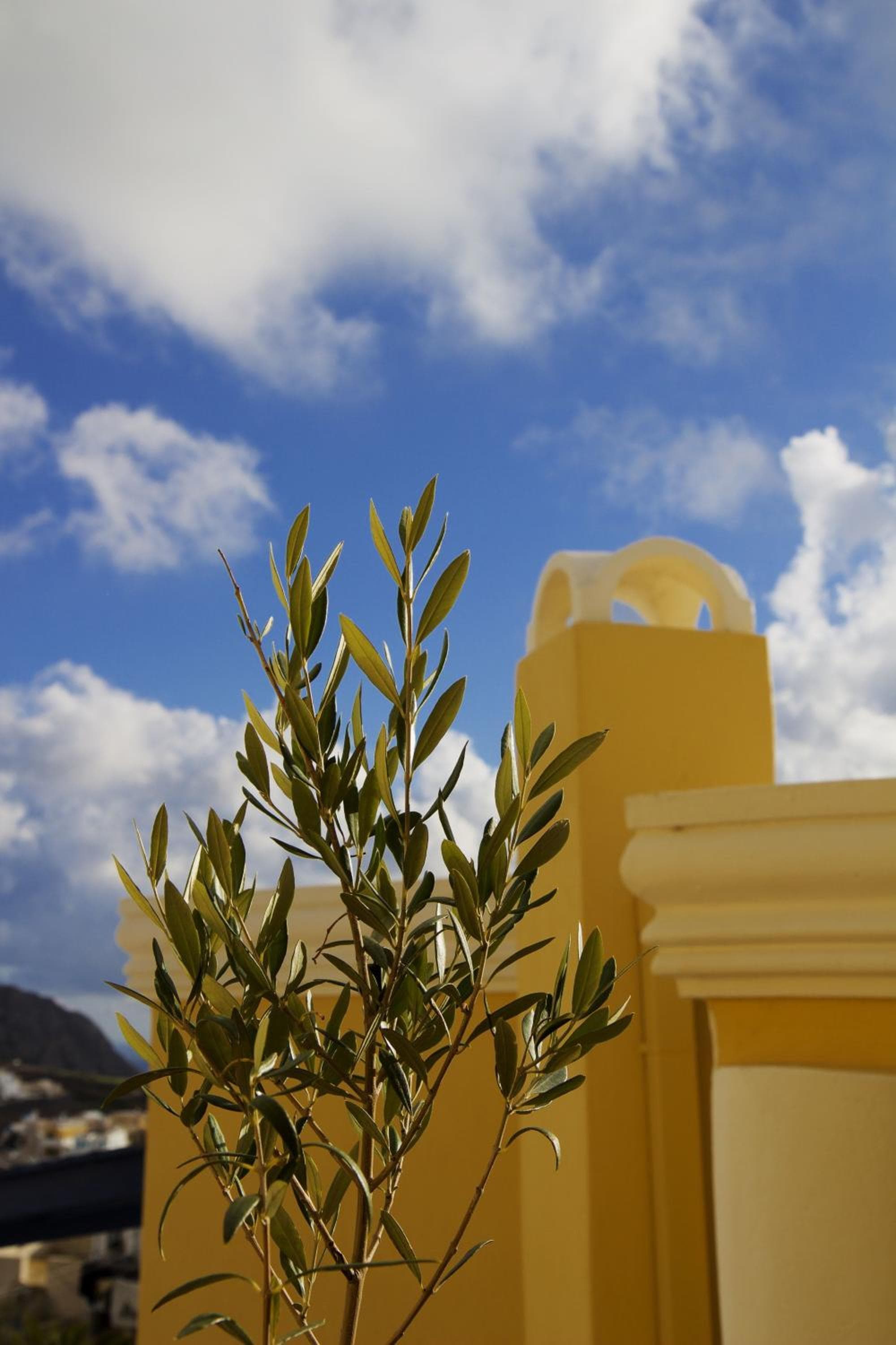Cultural House photo 5