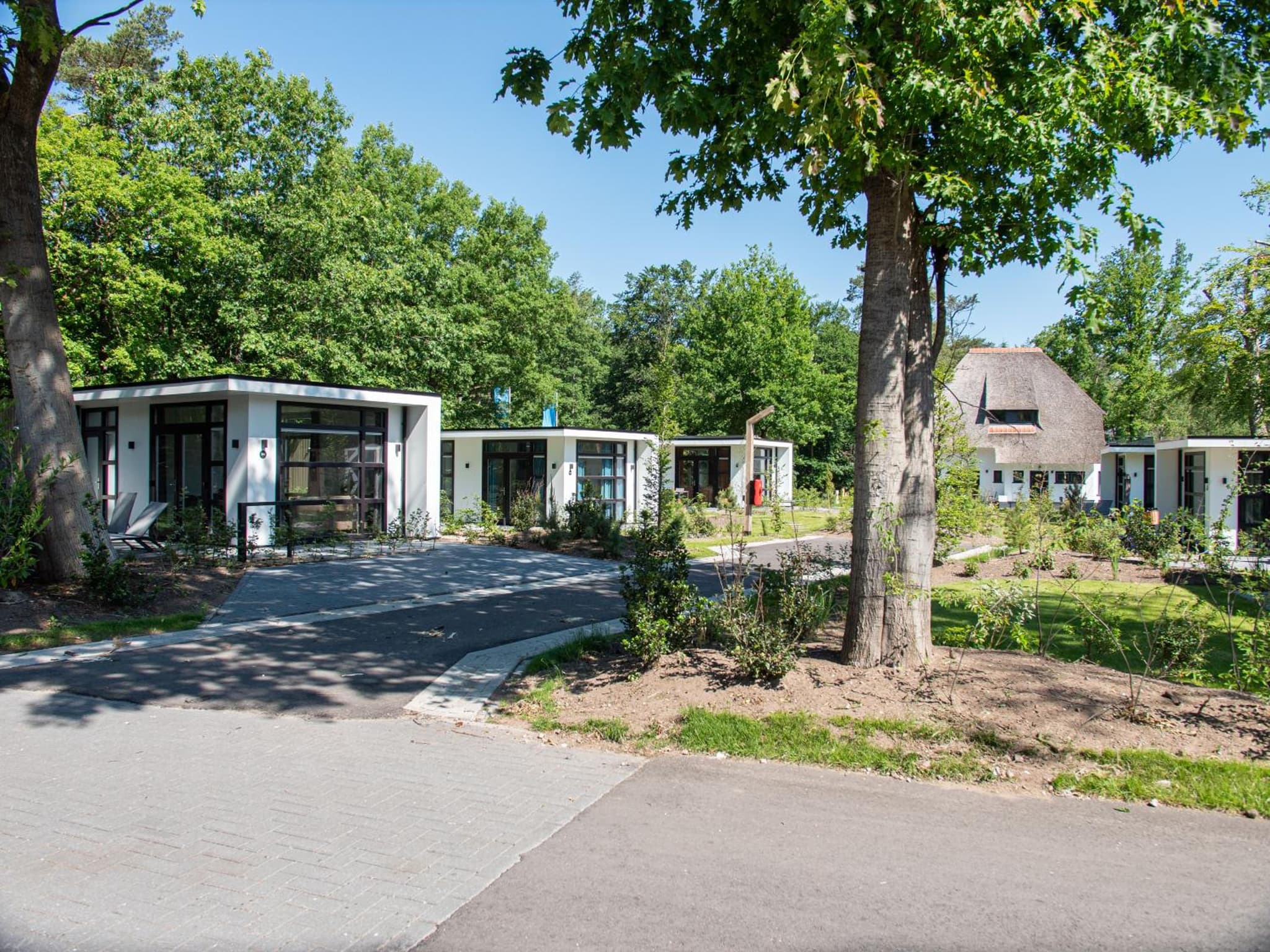 Recreatiepark Beekbergen photo 9