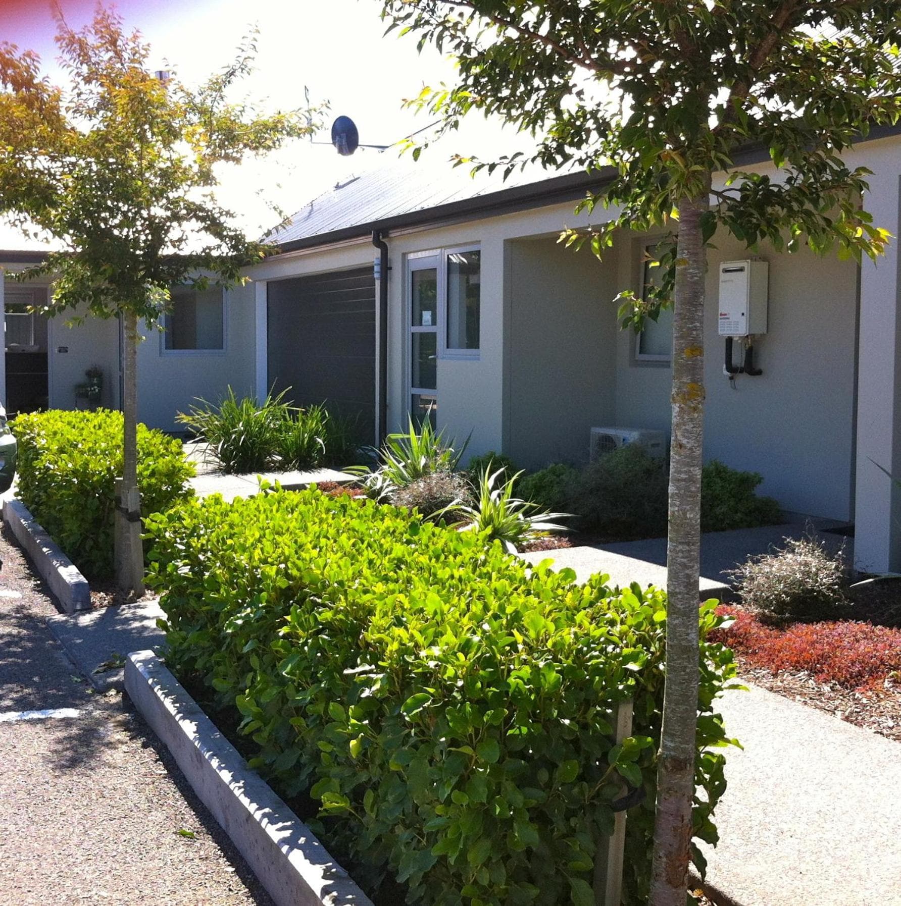 Darfield Motel photo 7