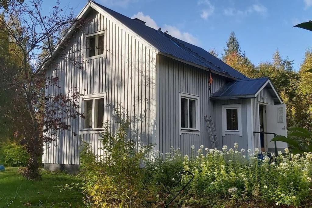 Villa Mäntysaari luonnonrauhaa kaupungin lähellä.