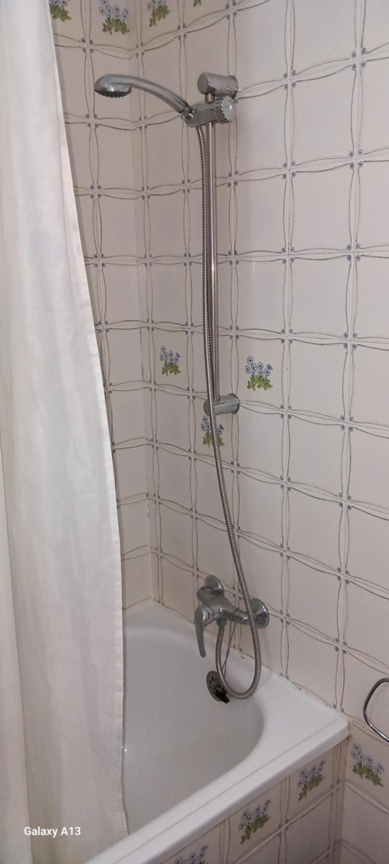 Aqui Rocha photo 6