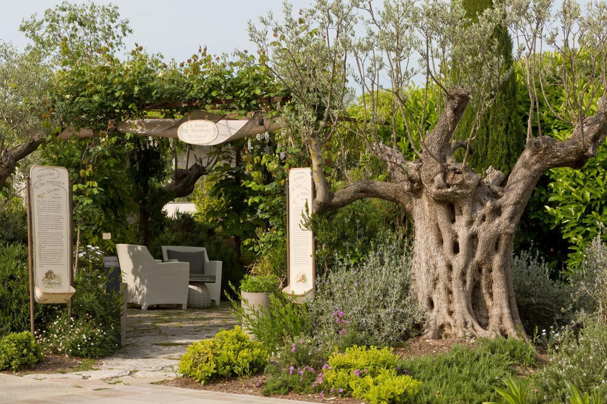 Domaine du Mas De Pierre photo 8