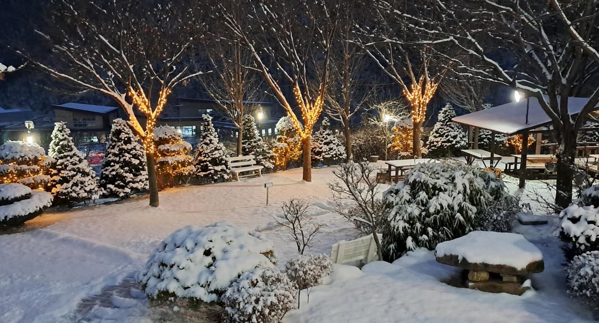 Chamjoeun Pension photo 3