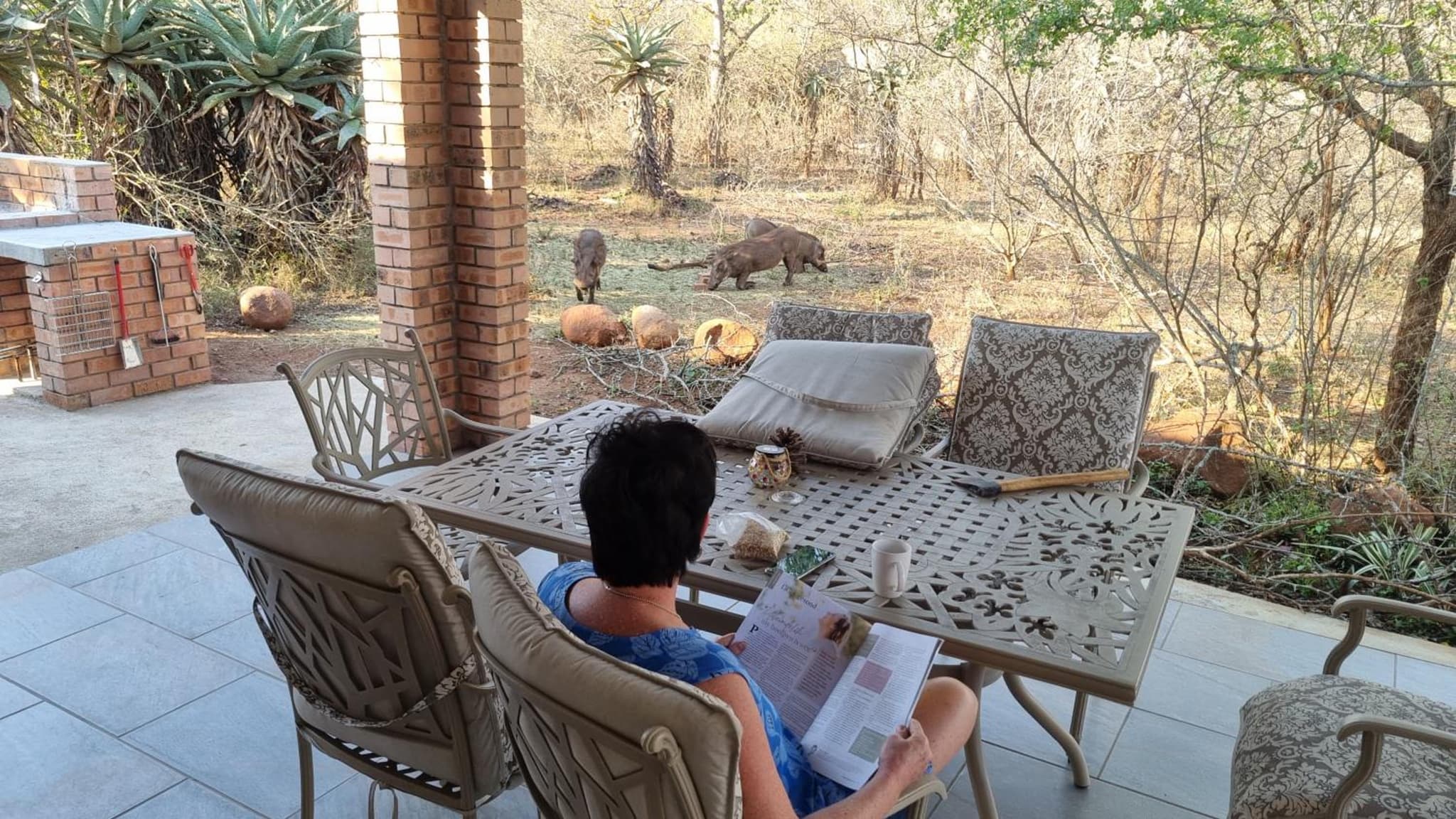Sonop in Marloth Park