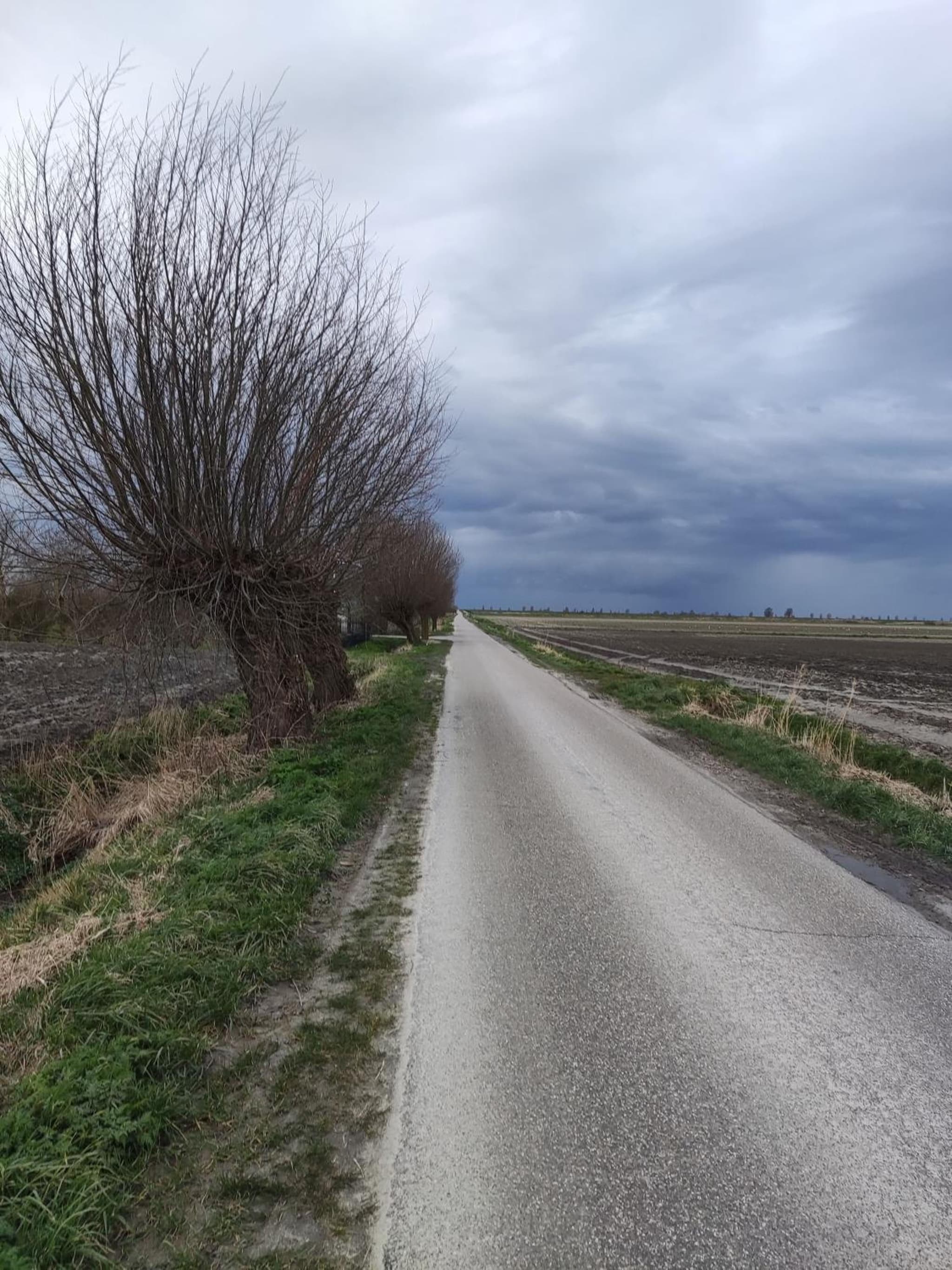 de Klaproos photo 8