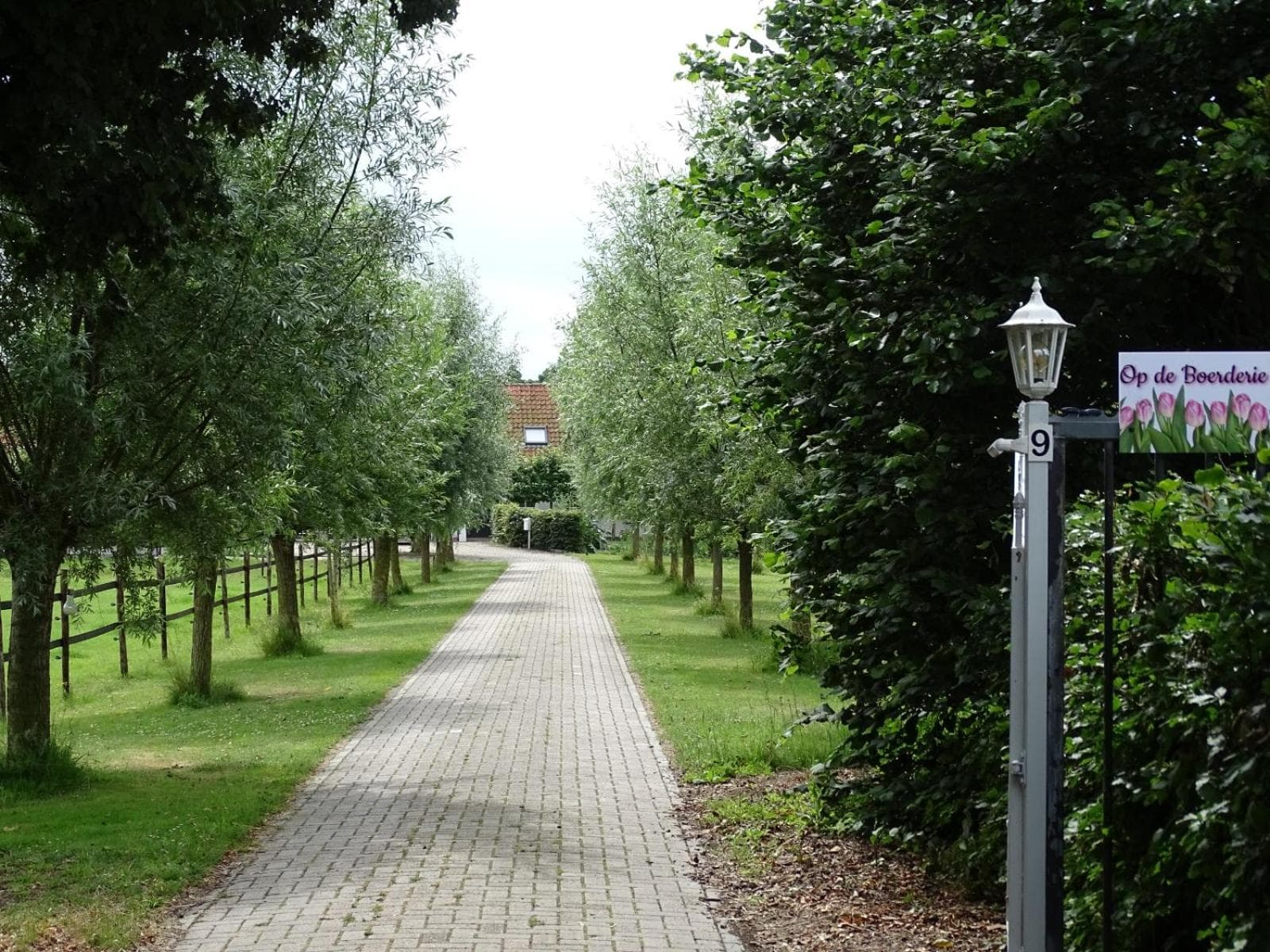 de Klaproos photo 6