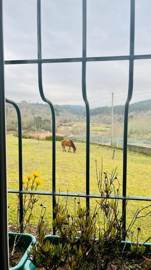 QUINTA DO CAMBEIRO photo 3