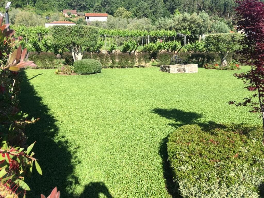 Quinta dos Brazilaves - Ponte de Lima photo 8