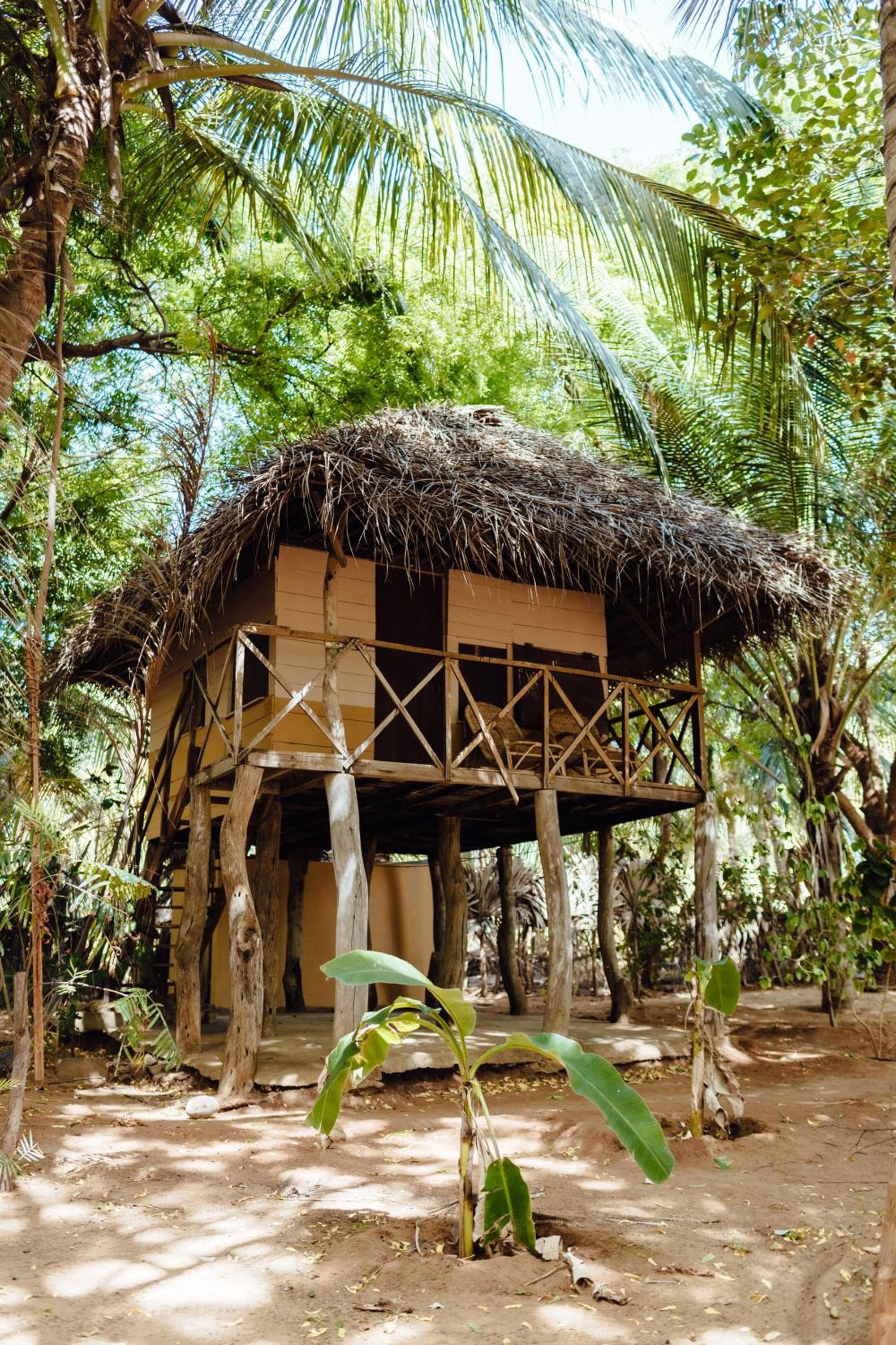 Hilltop Cabanas photo 2