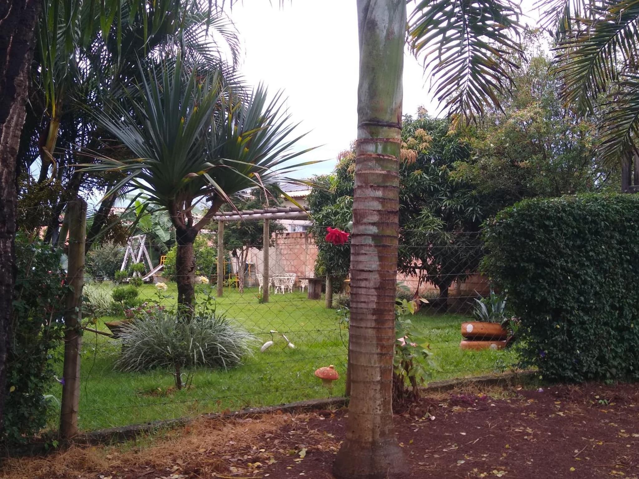 Sítio Descanso E Natureza Igarapé - 20km Inhotim photo 2