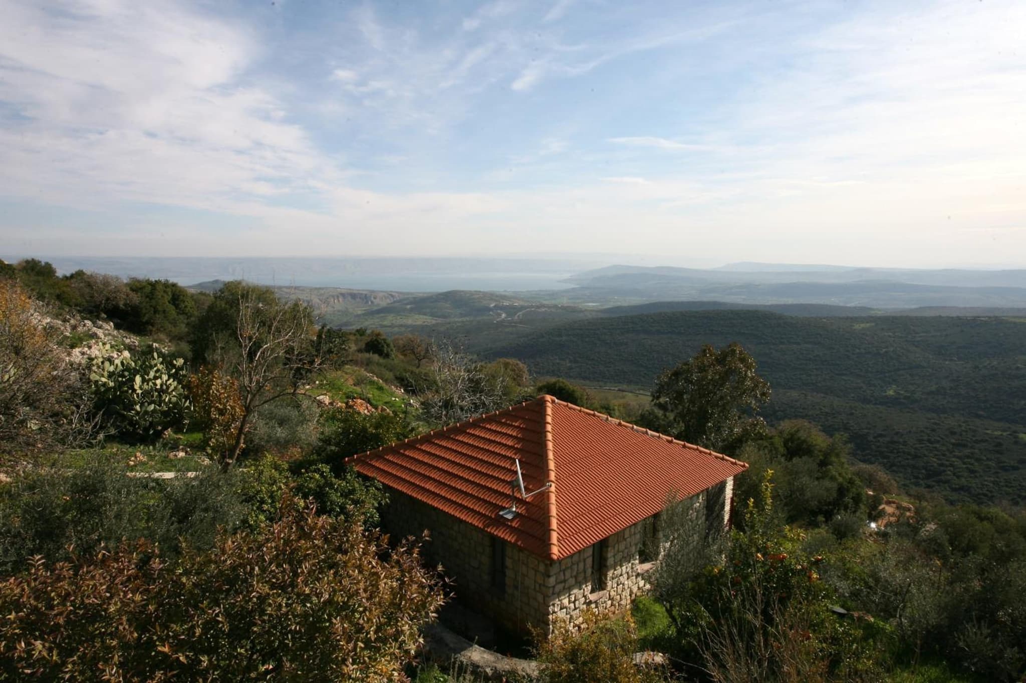 Red and White אדום לבן photo 8