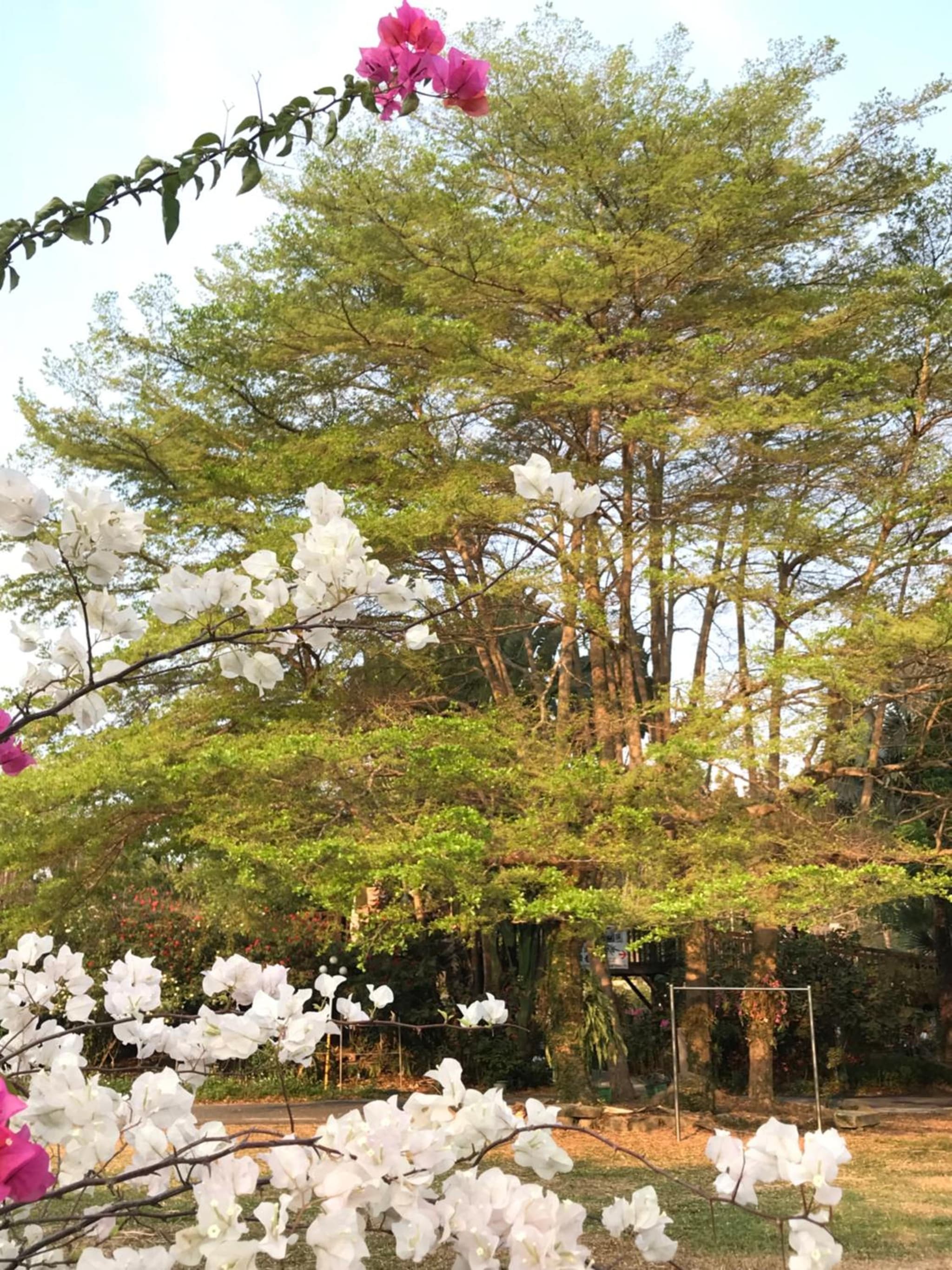 Tong Nian B&B photo 5