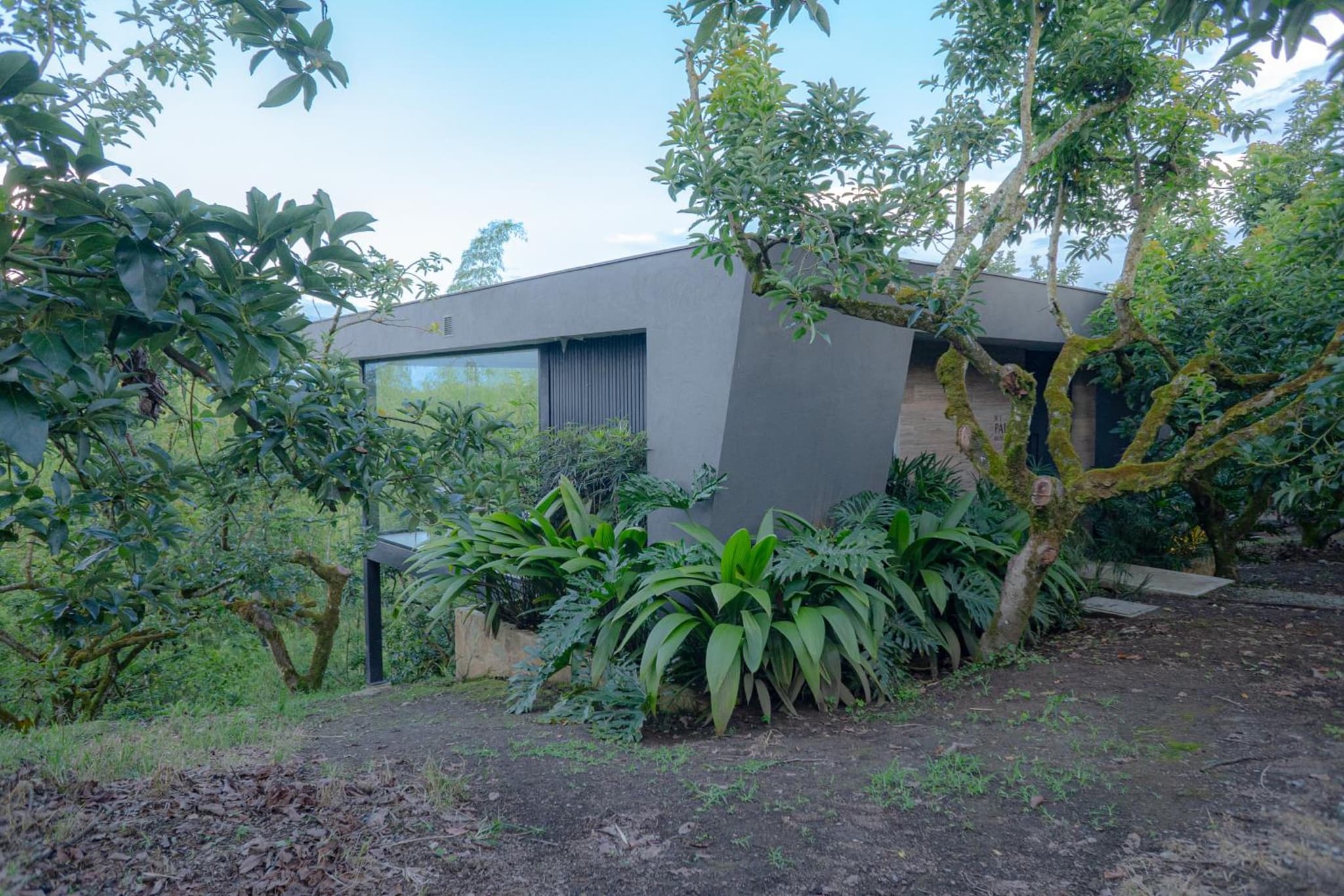 Palta Hotel photo 7