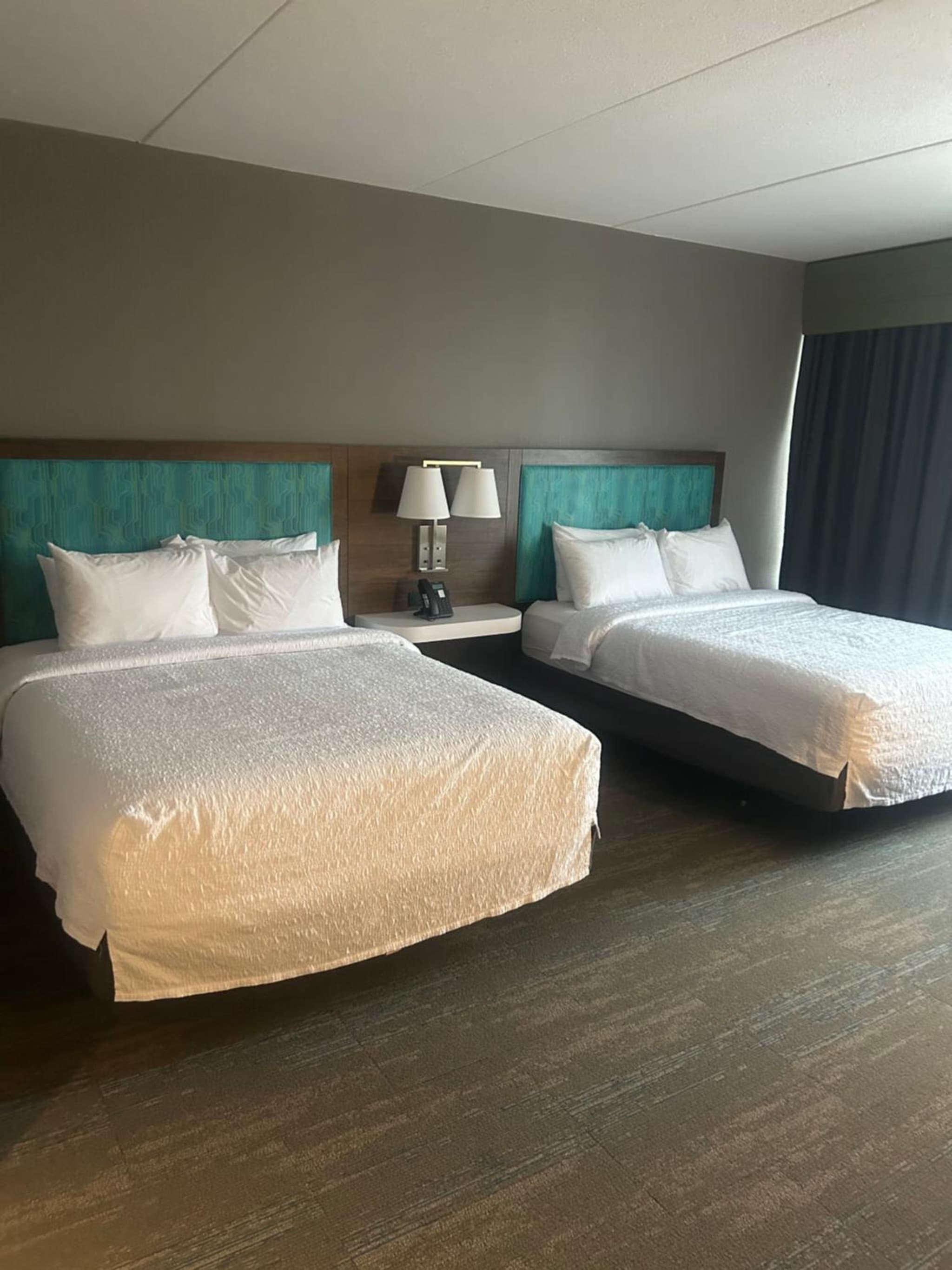 Hampton Inn By Hilton Kingston photo 5