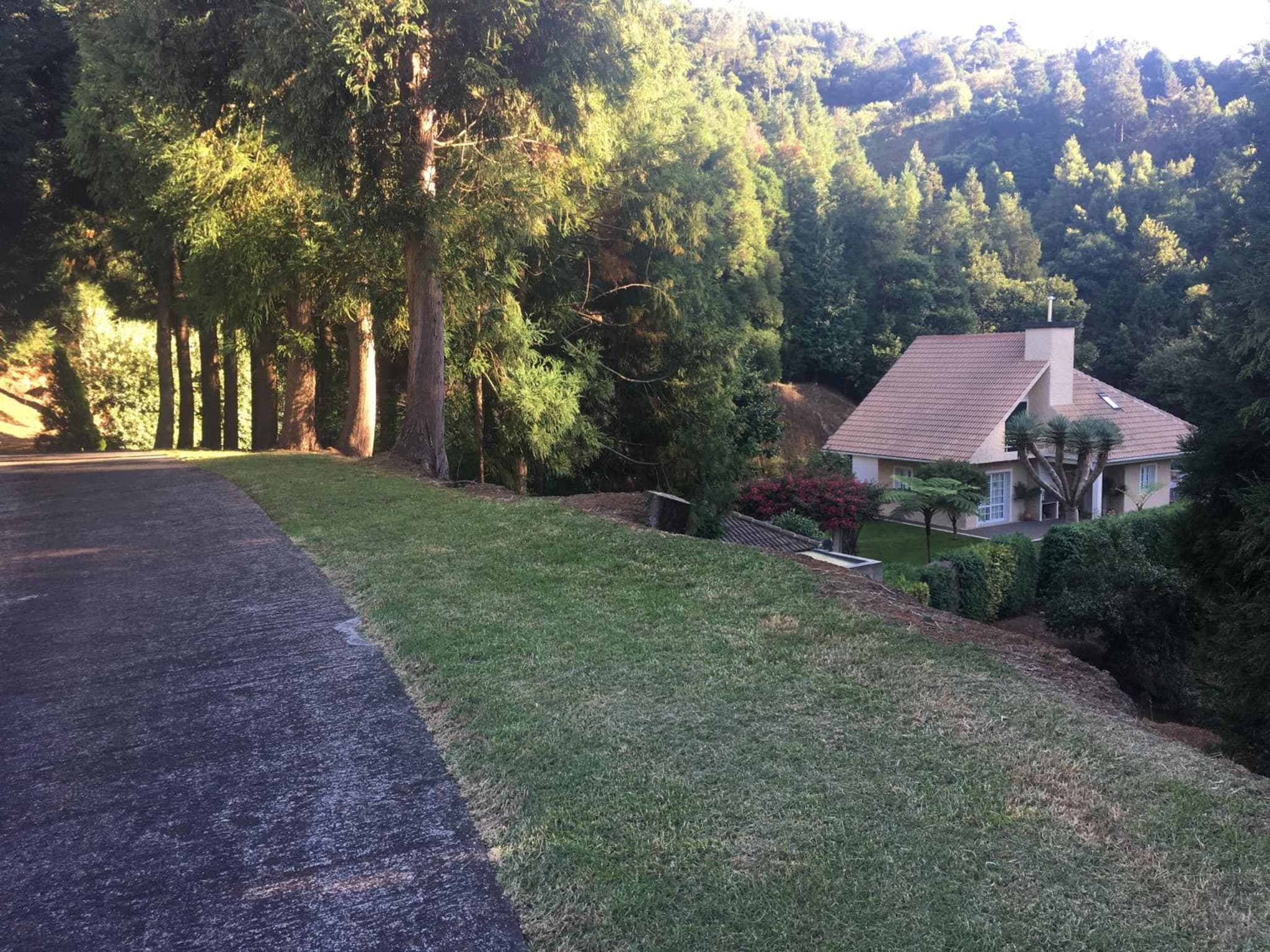 Quiet Place photo 8