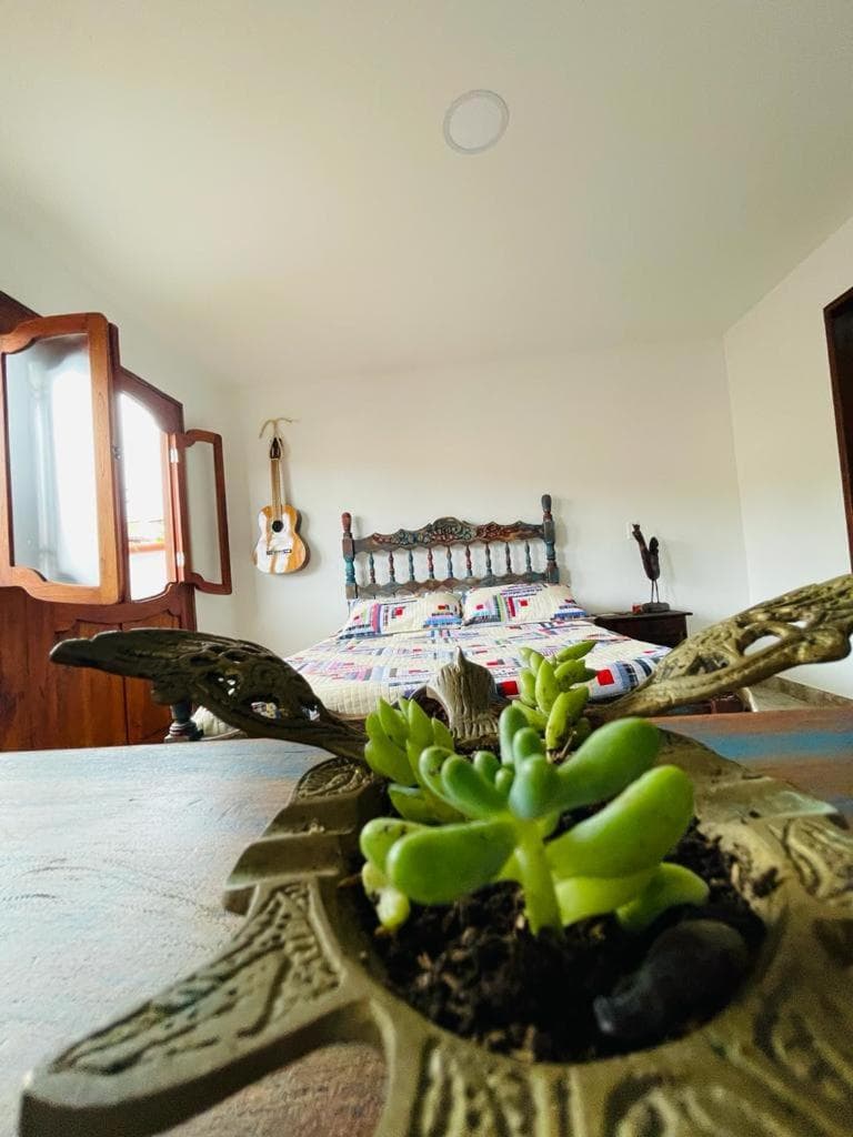 Paisa Territory Jardin photo 8