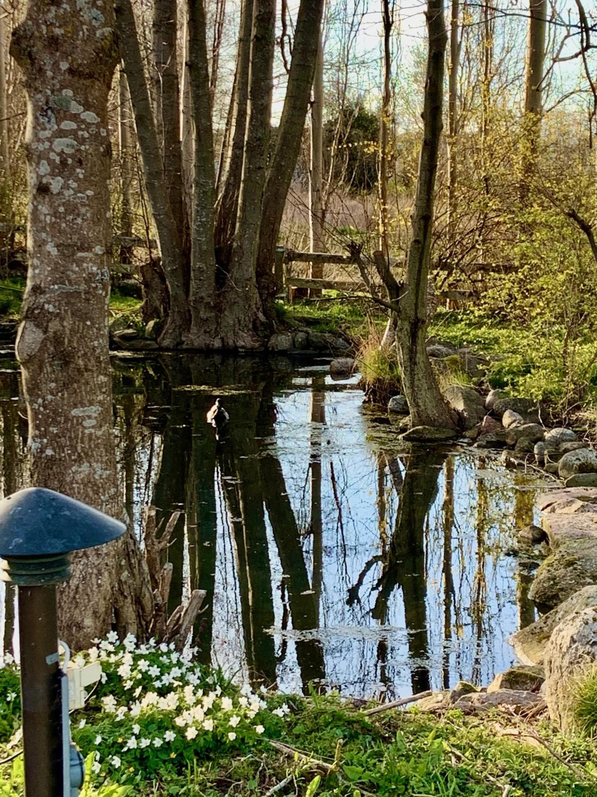 Killegården på Kivik photo 9