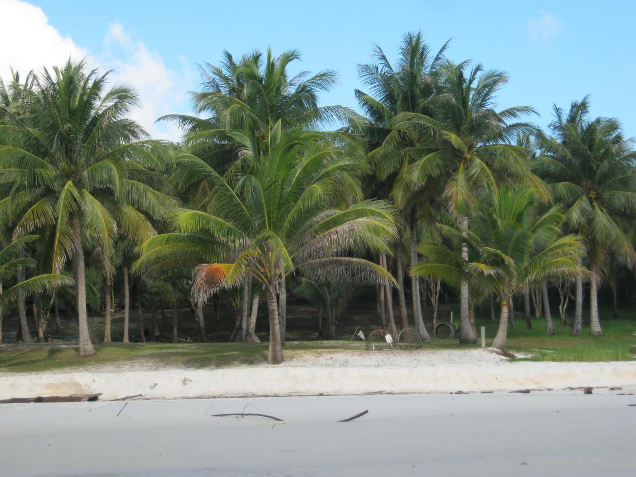 Coconutbeach Bungalows photo 6